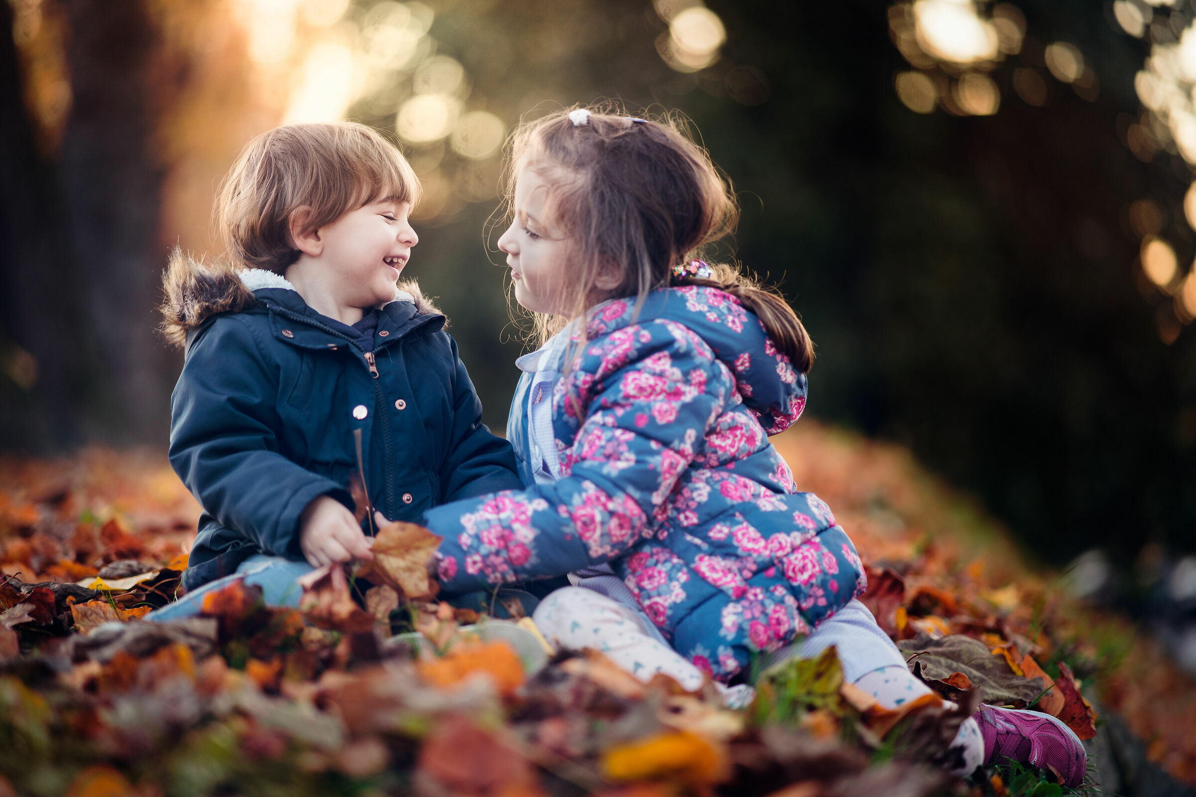 between leaves and laughter