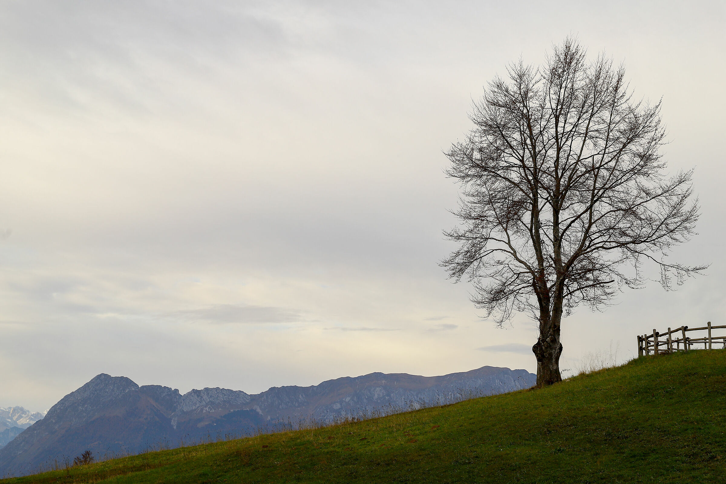 L'ultimo respiro autunnale