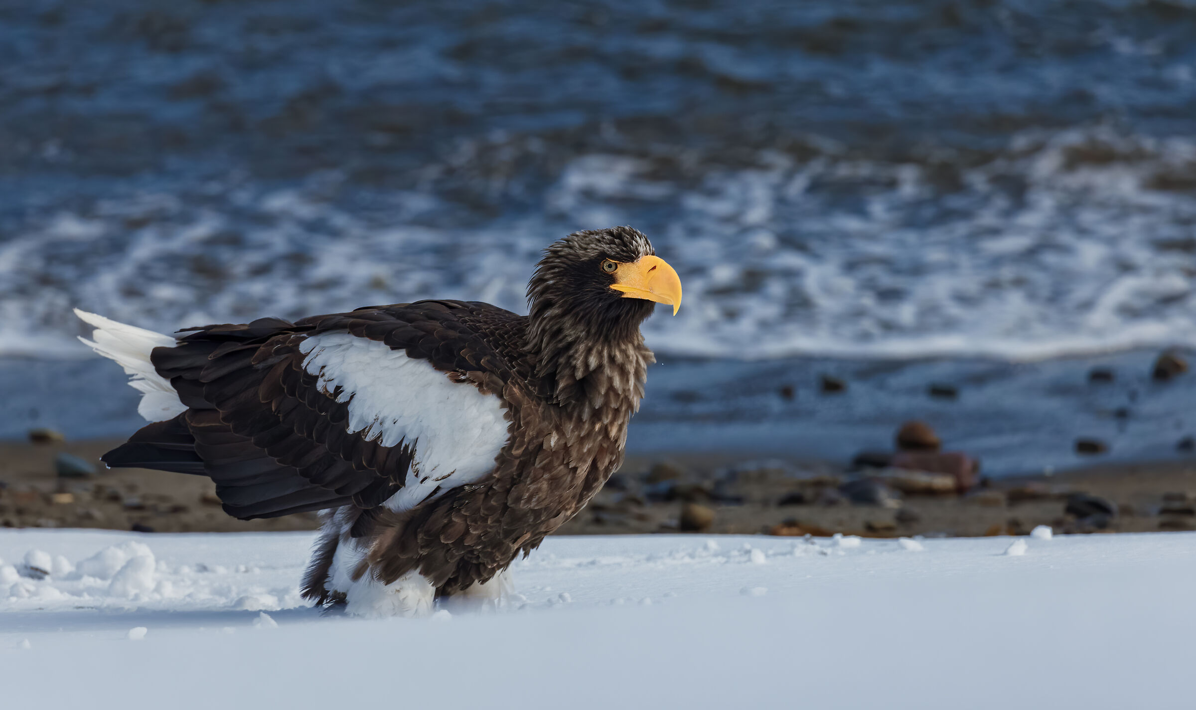 A cold sunny winter day in Kushiro