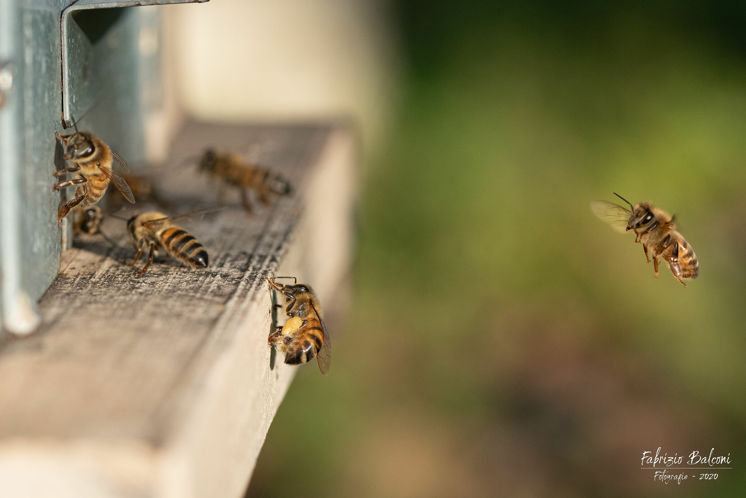 Preparing for winter