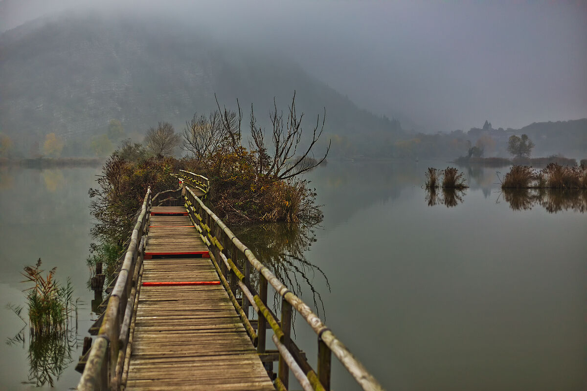 La riserva nella nebbia