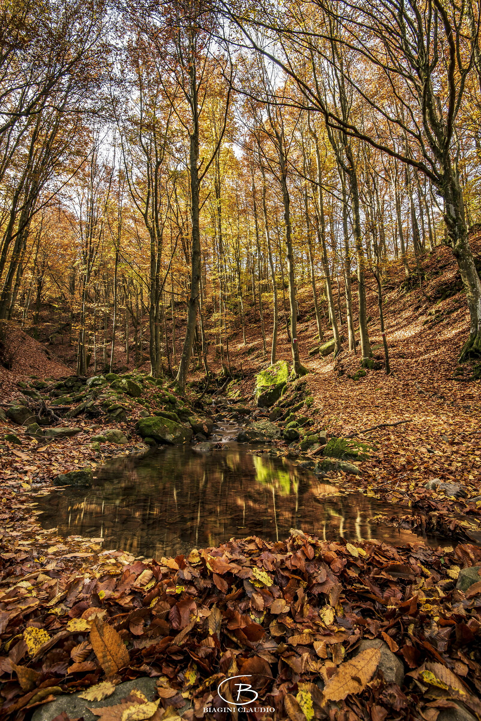 Autunno all'Acquerino