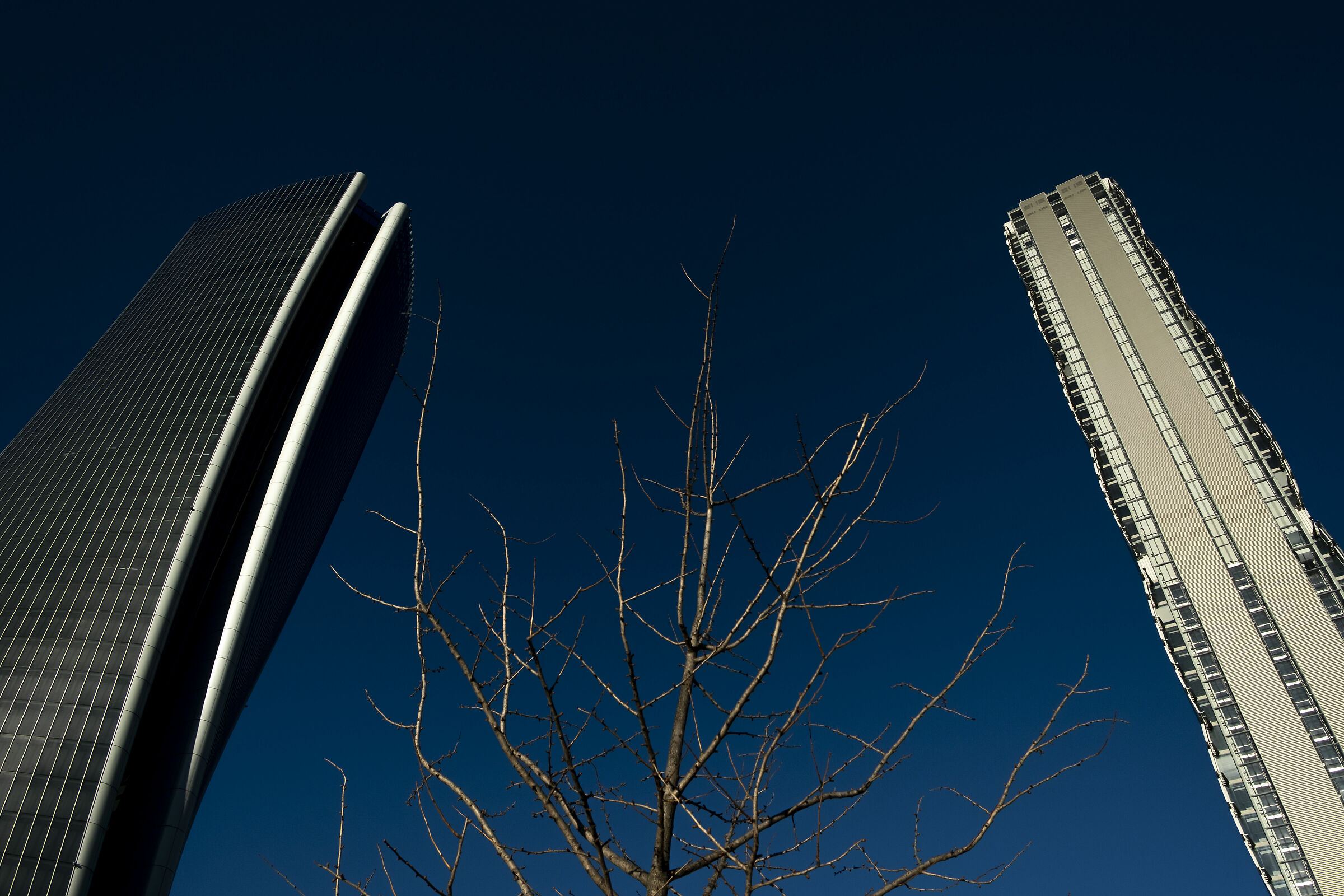 Senza Titolo