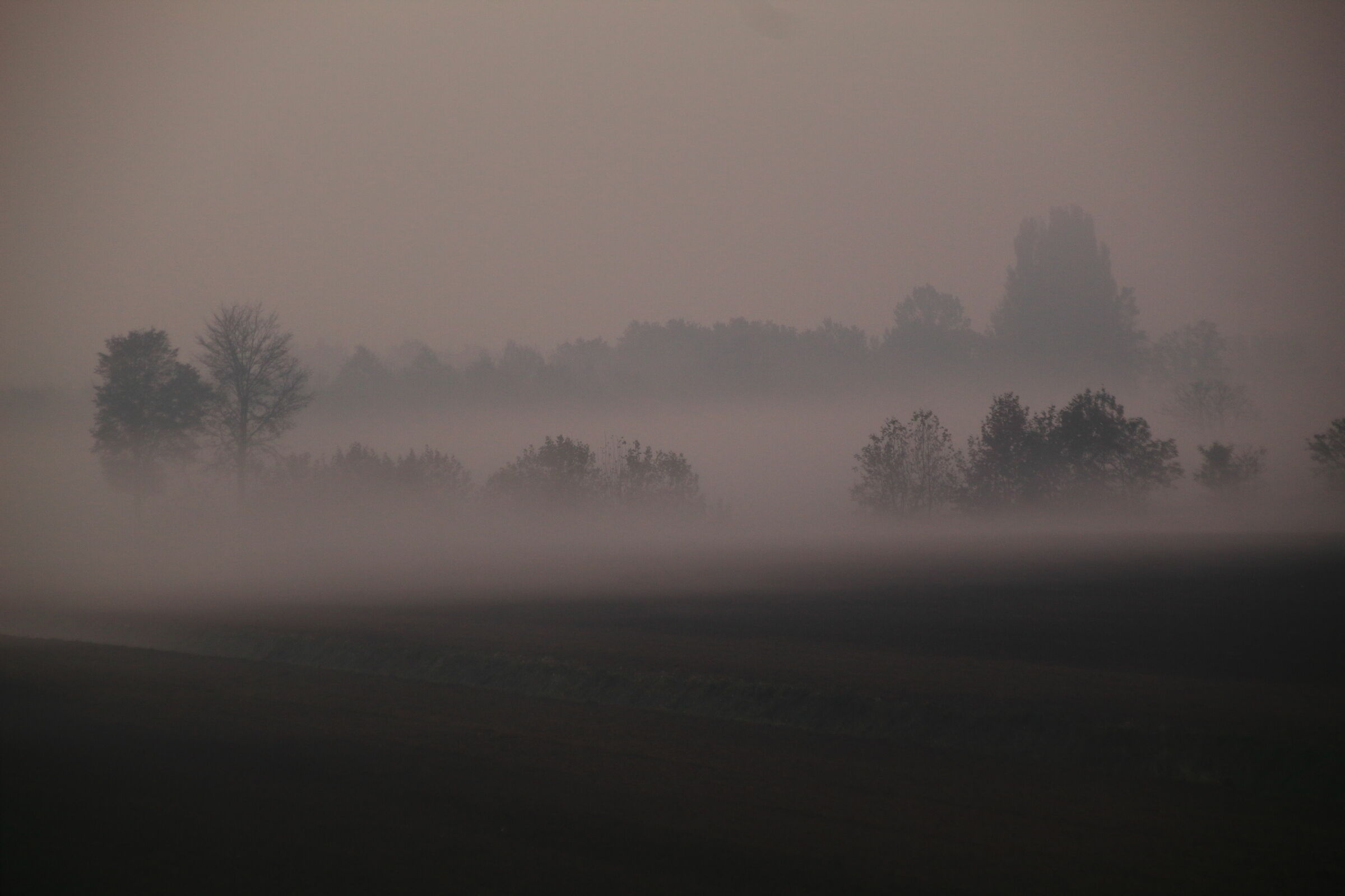 09 Novembre 2020