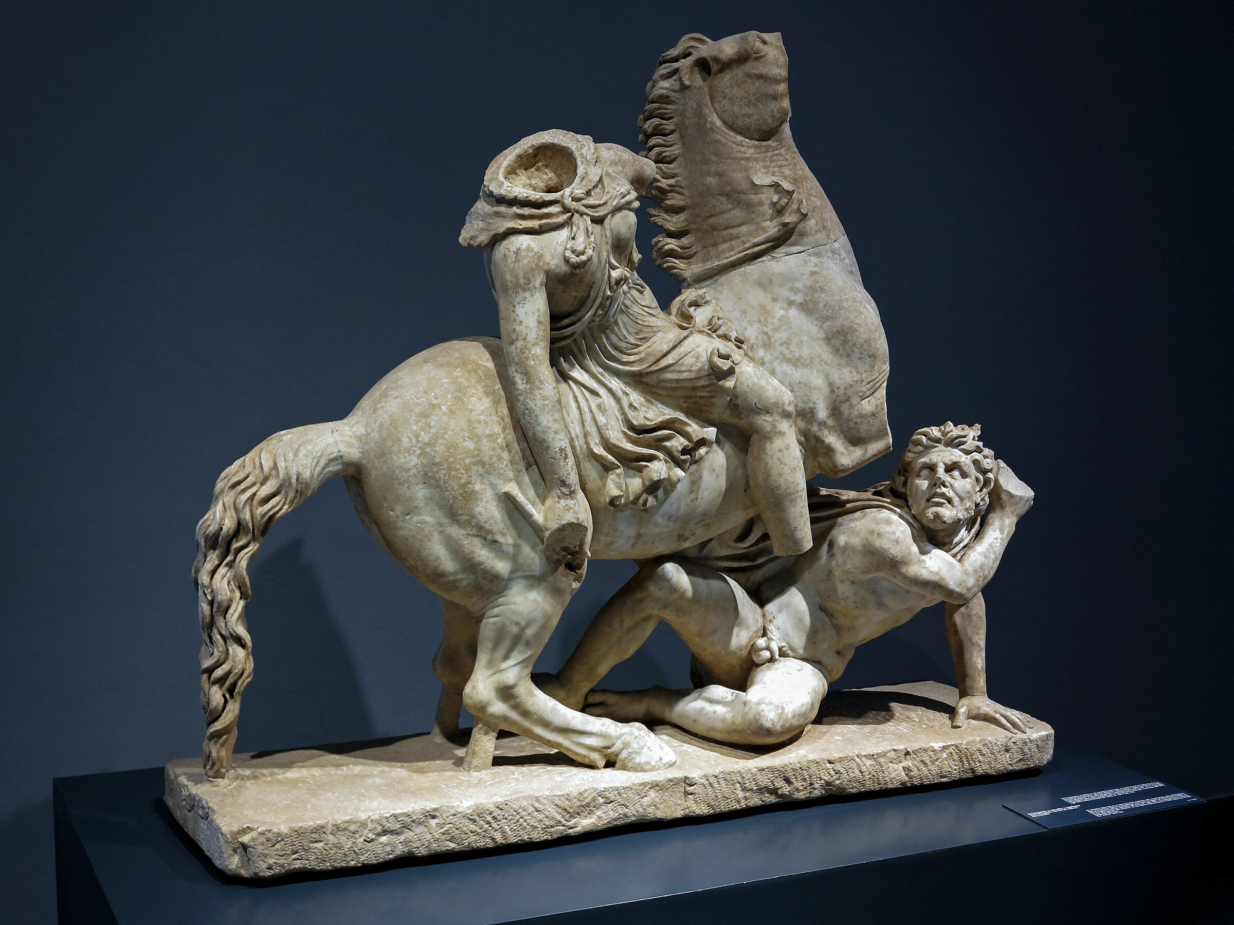 Amazon and barbarian