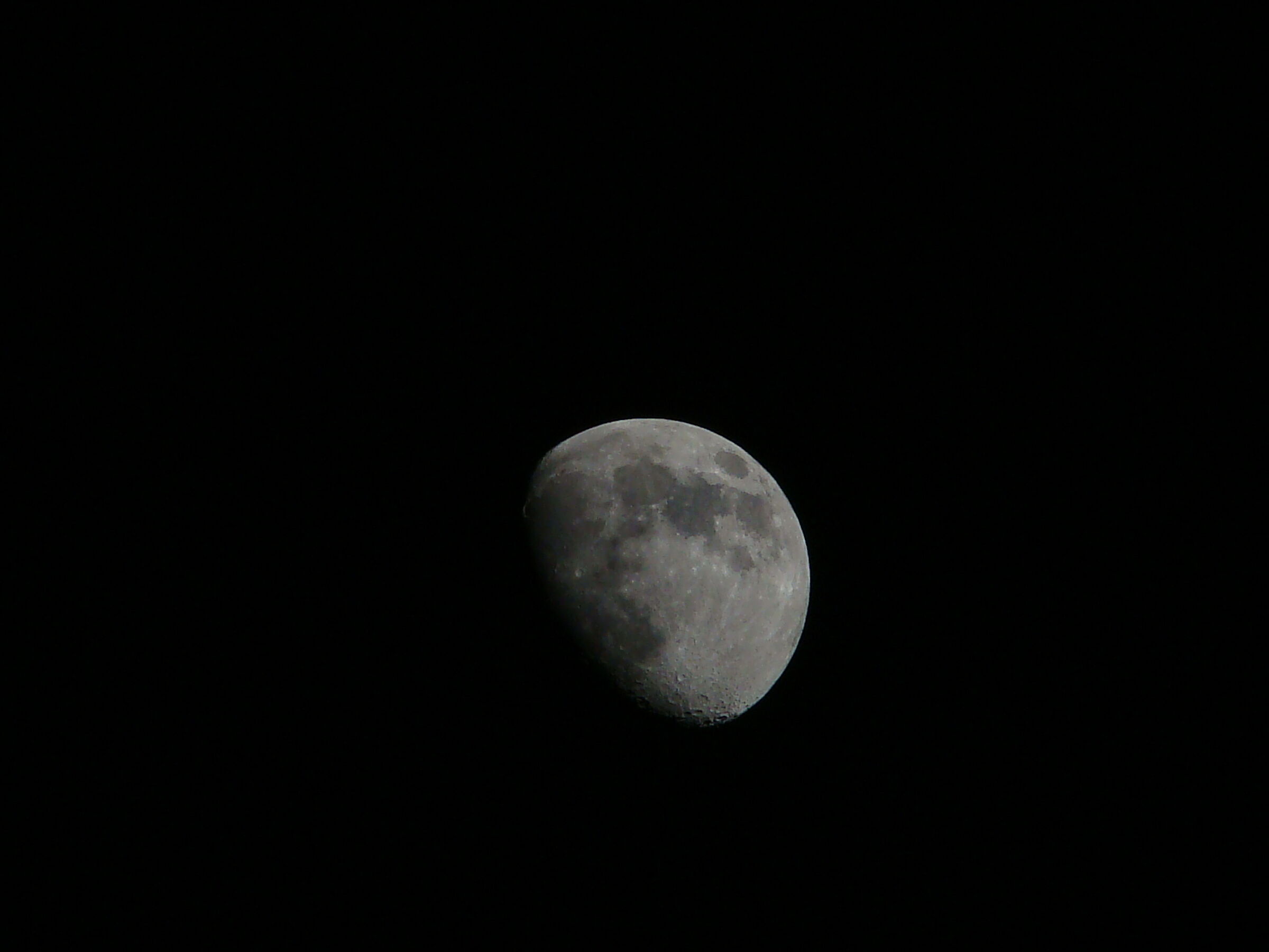 Night