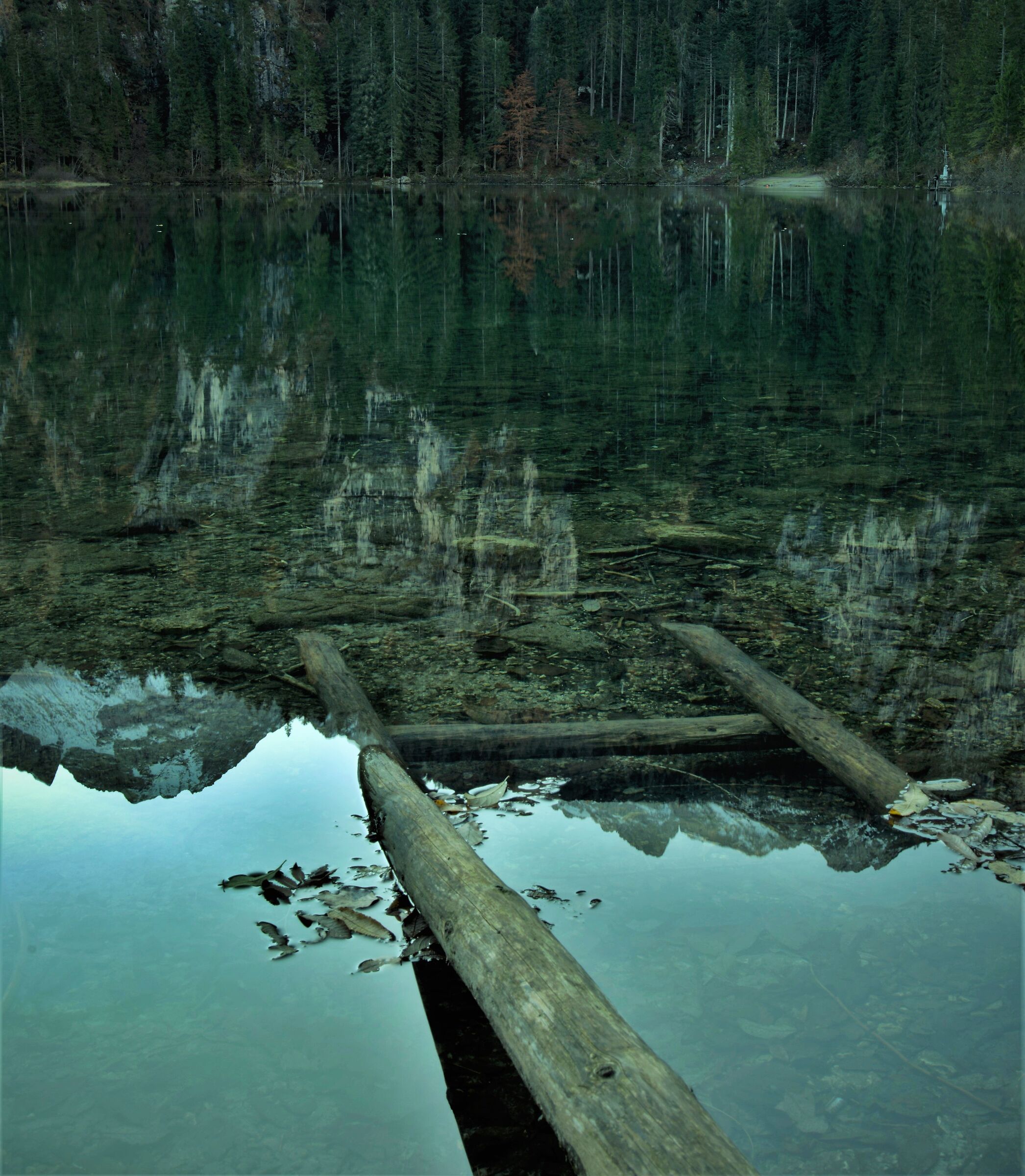 Particolari riflessi...