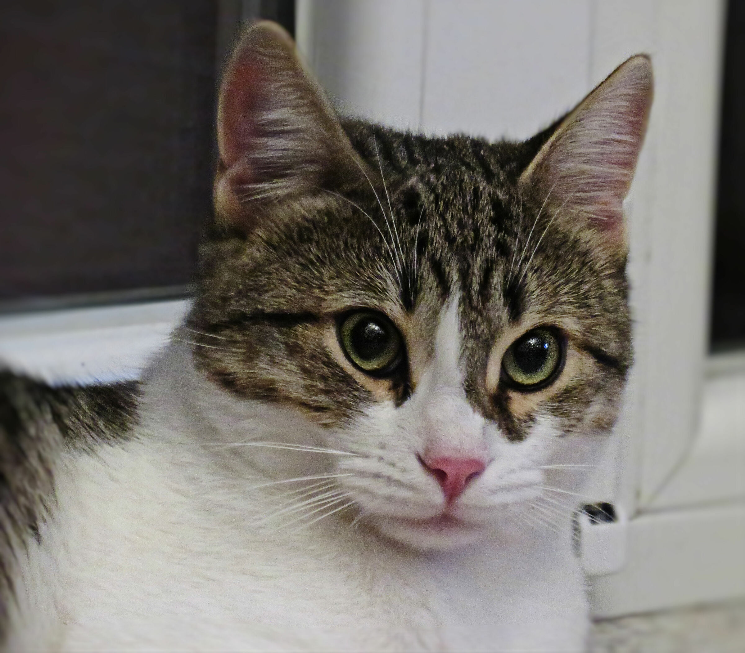 Hai finito di fotografarmi ???!!!!