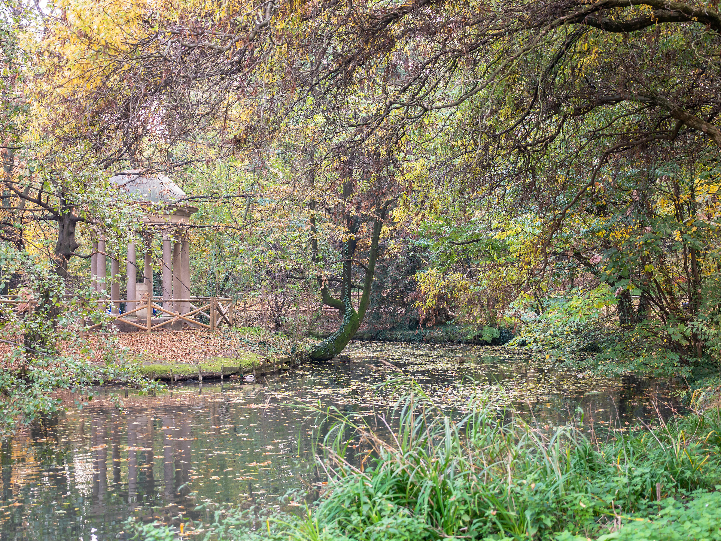 Foliage - Garden of villa Belgiojoso Bonaparte