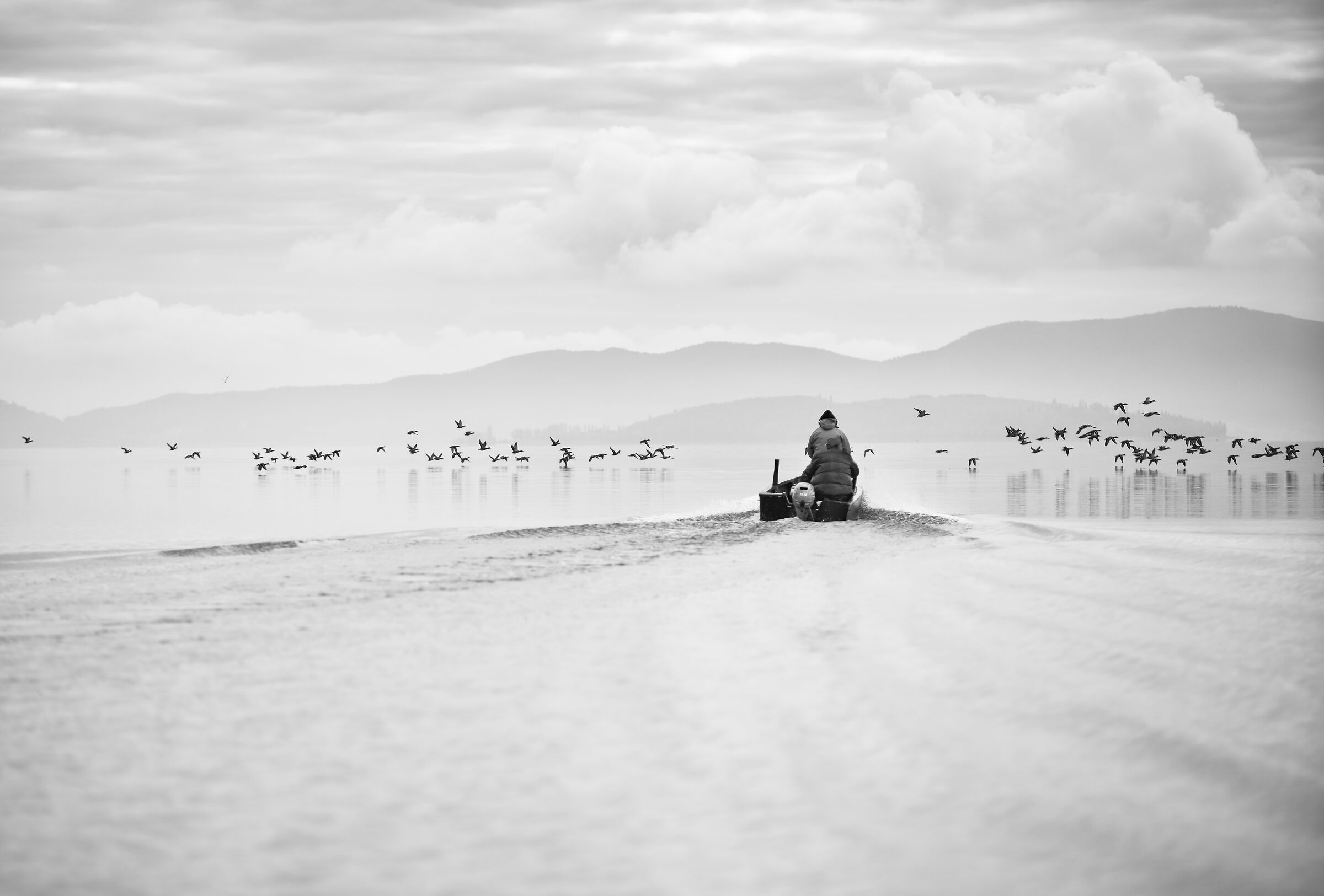 " In scia alla Bellezza "