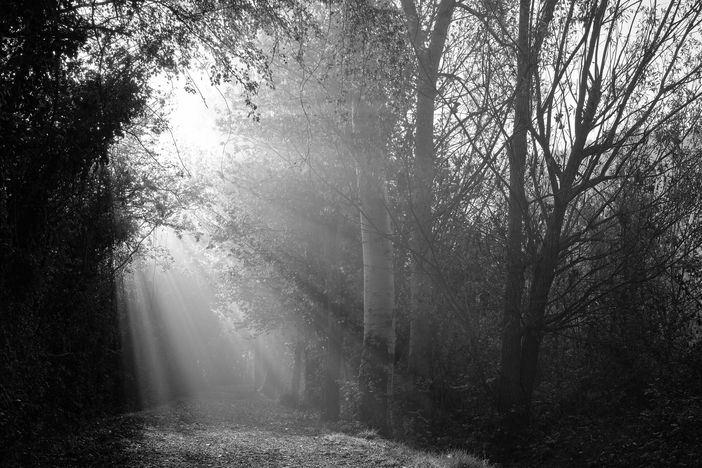 early in the morning