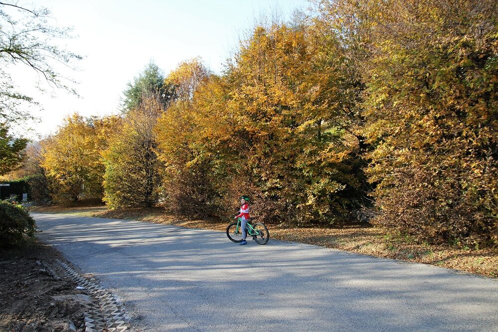 Ammirando i colori autunnali