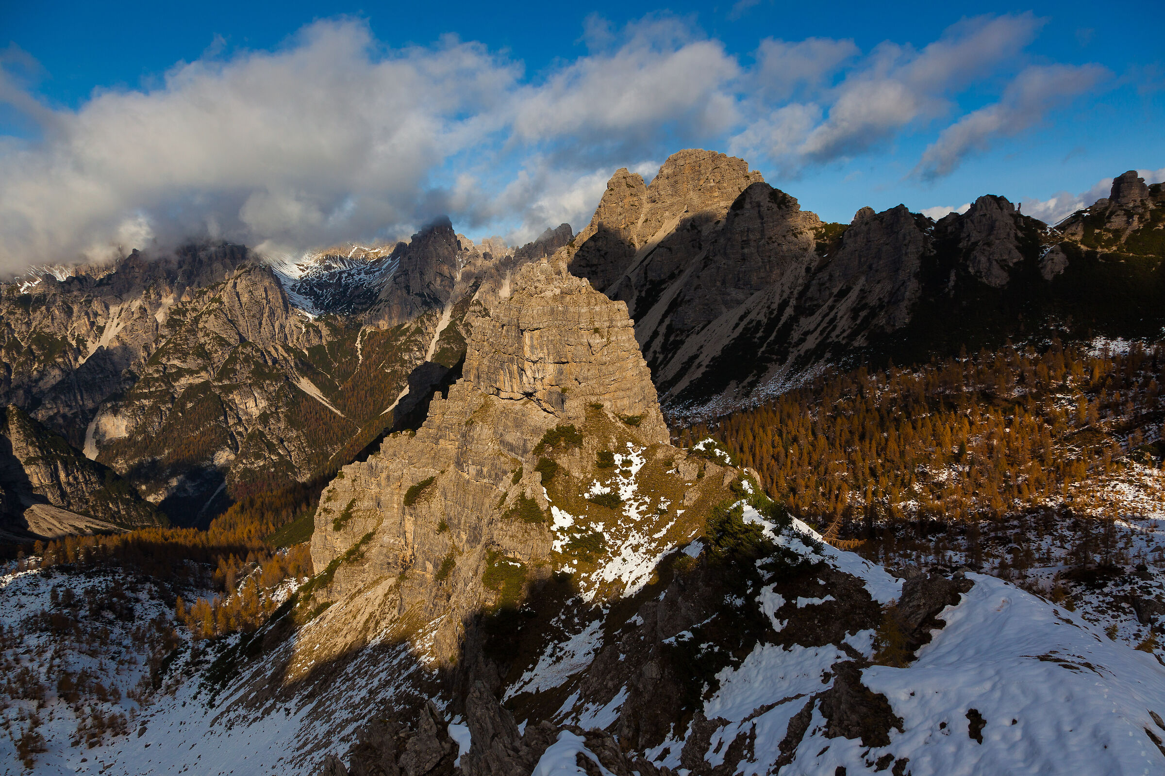 mus di brica 1