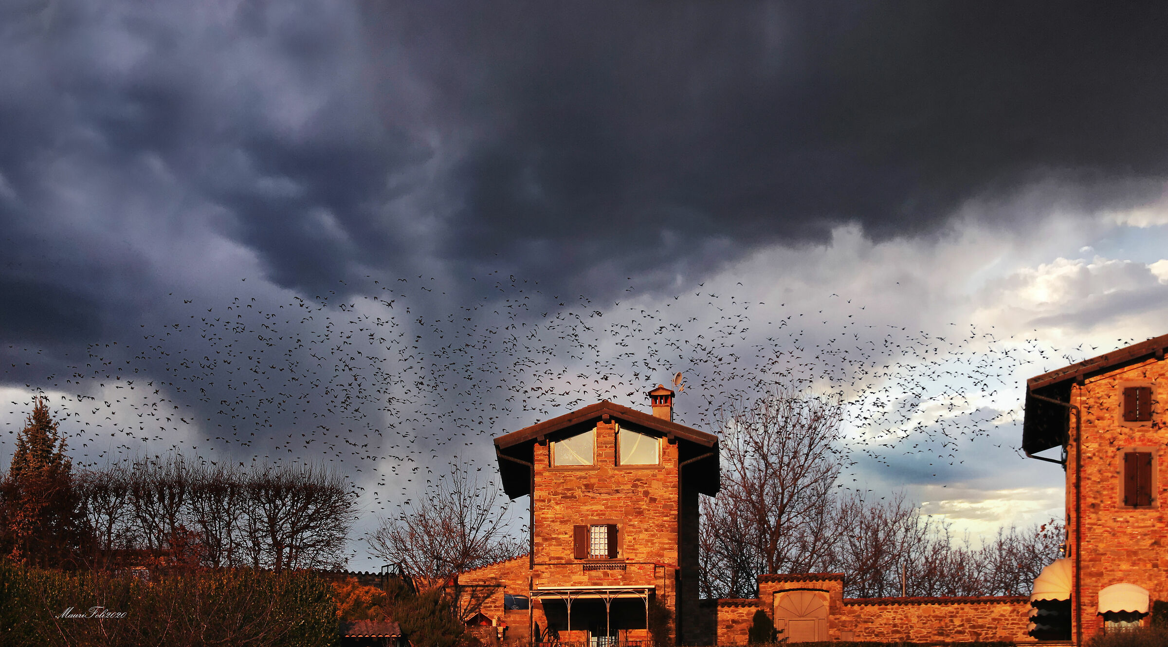 " The Flight of the Starlings..."