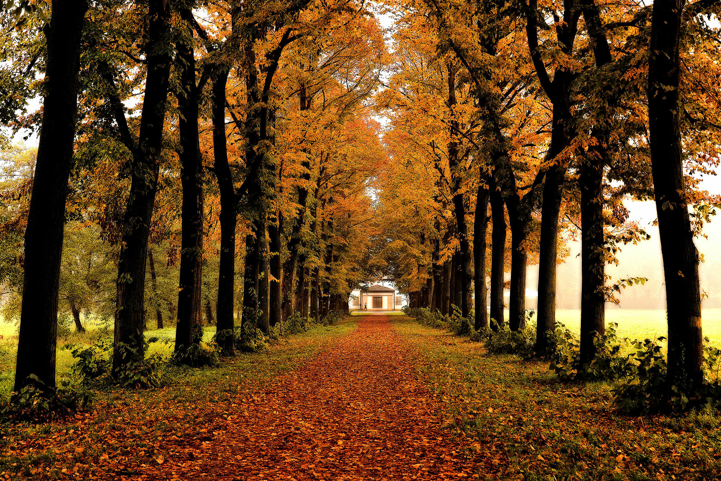 " At the end of the avenue..."