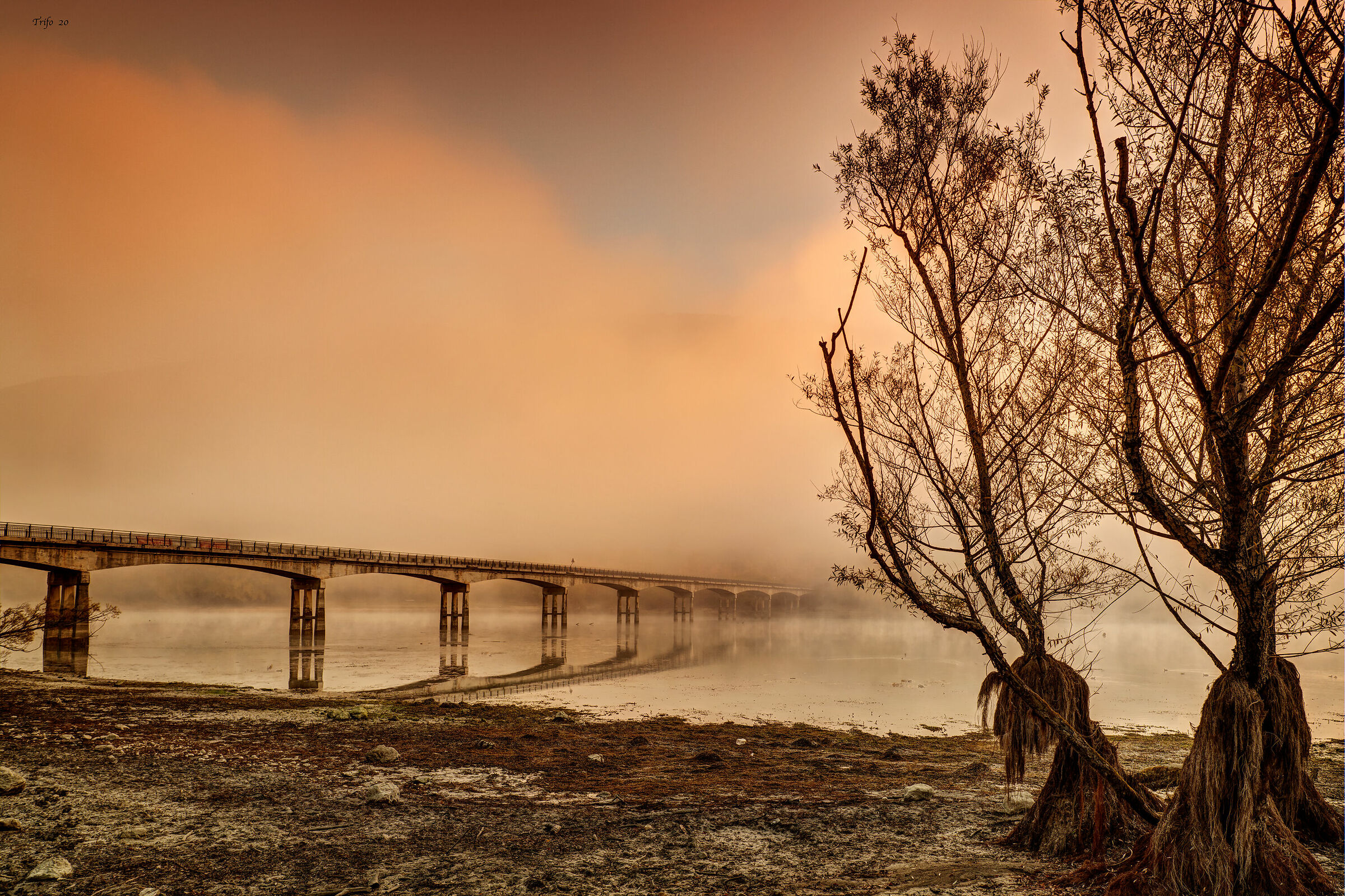 Nebbia all'Alba ....