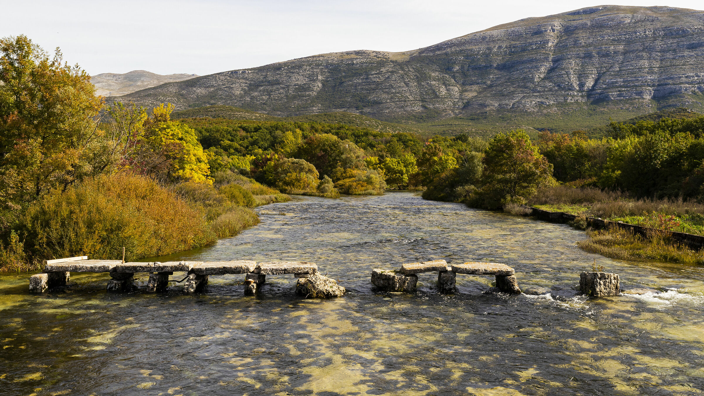 Ponte di pietra medioevale sul fiume Cetina
