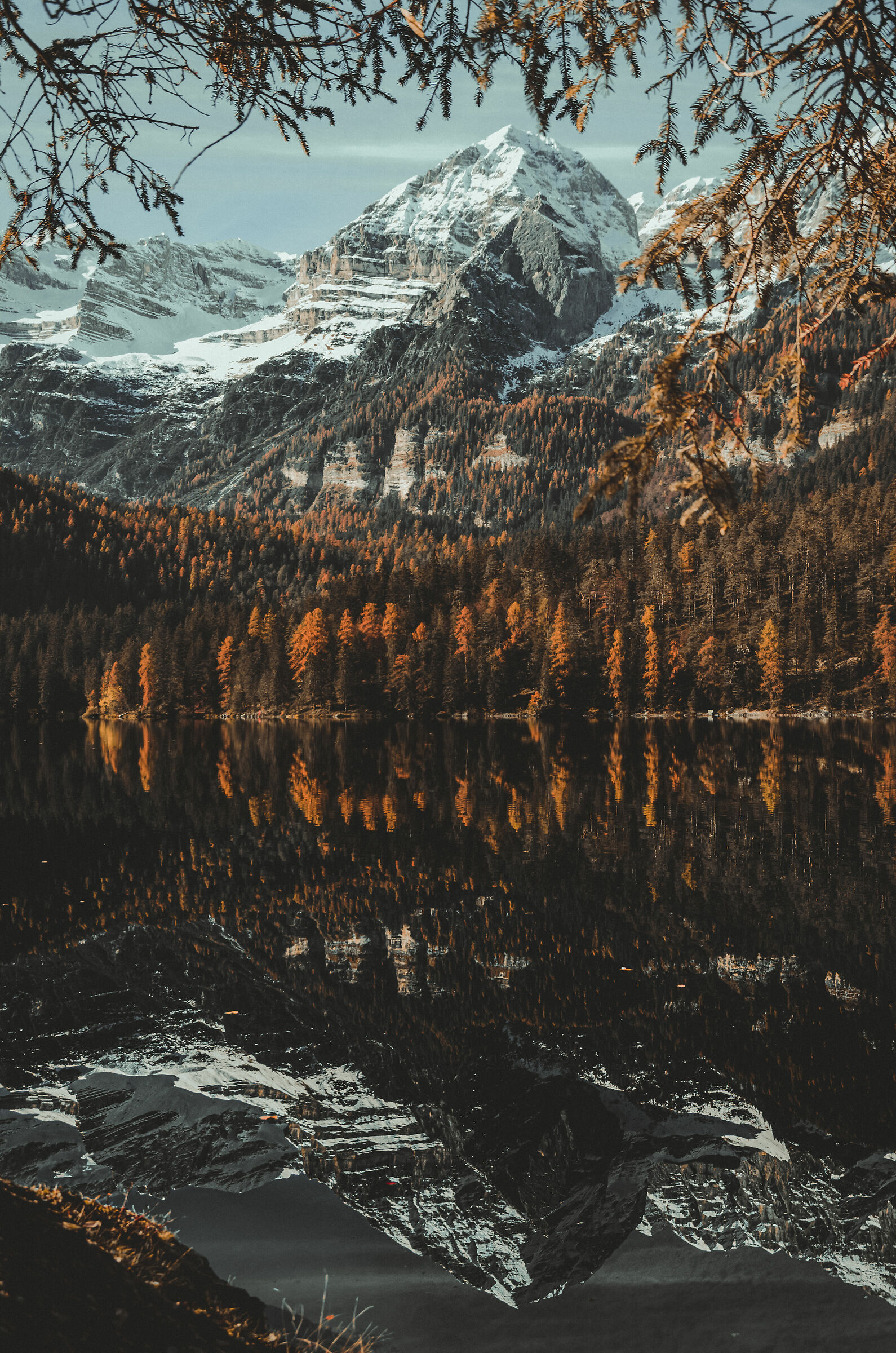 Cartolina dal lago di tovel