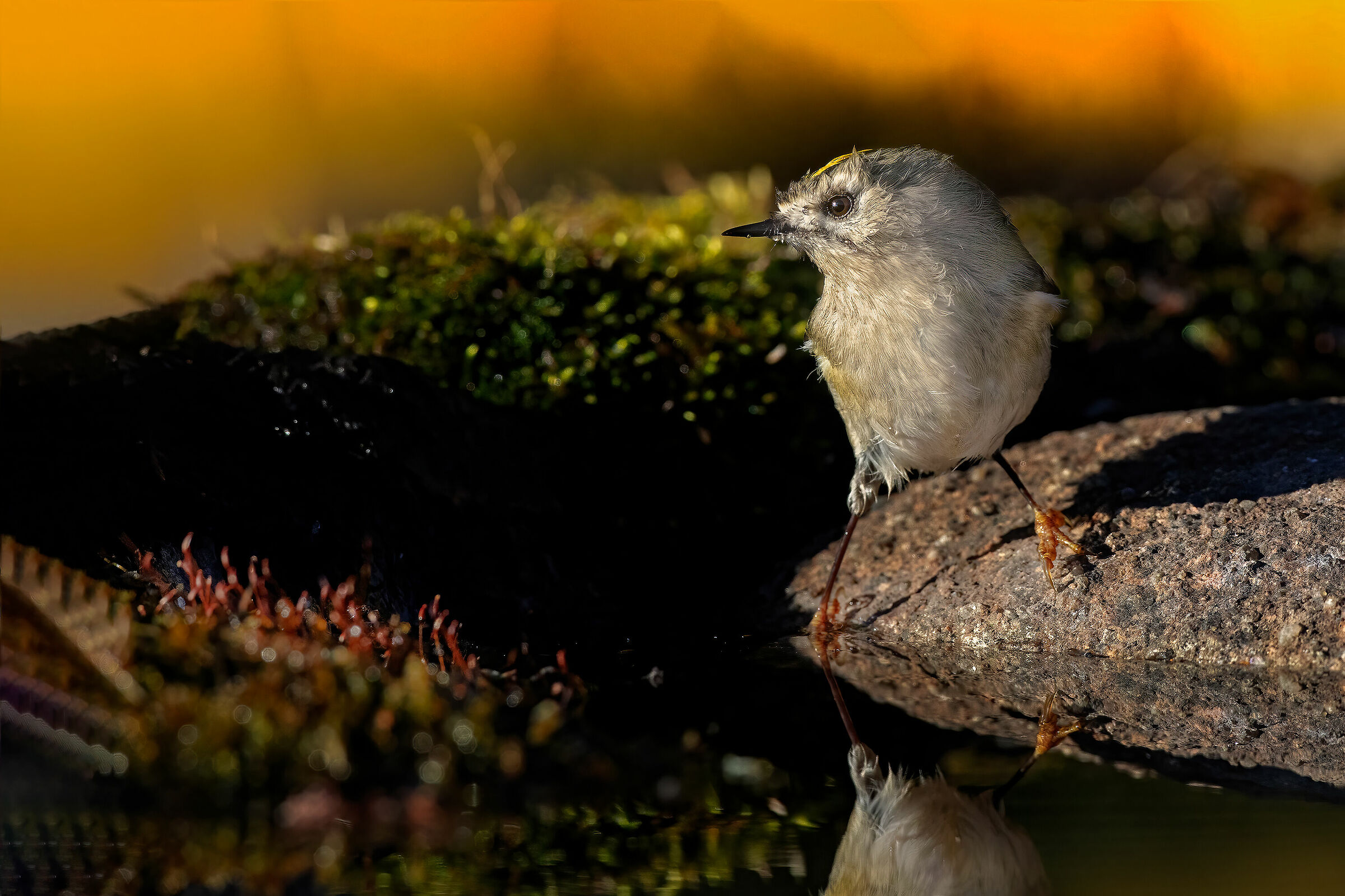 Controllo temperatura acqua