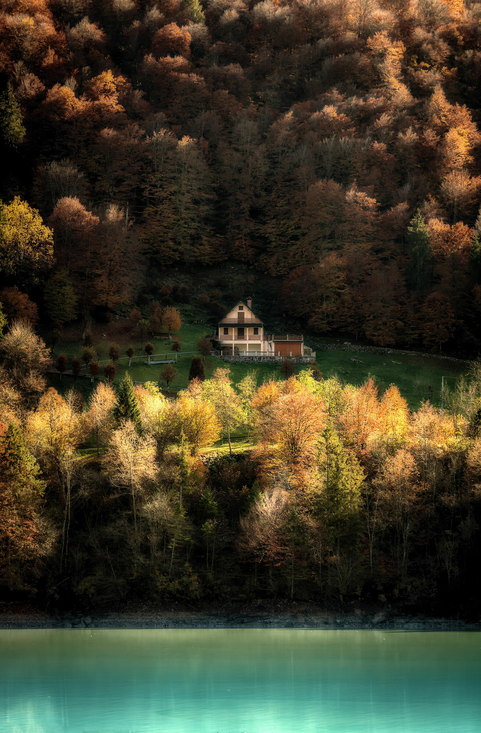 Autumn