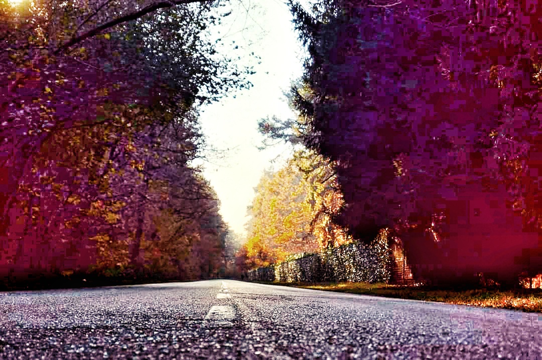 Color street