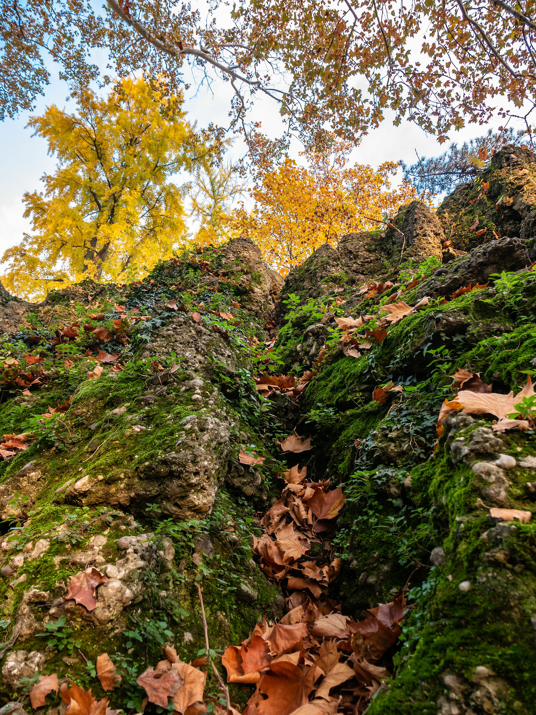 Foliage - Giardini Pubblici Indro Montanelli - Milan