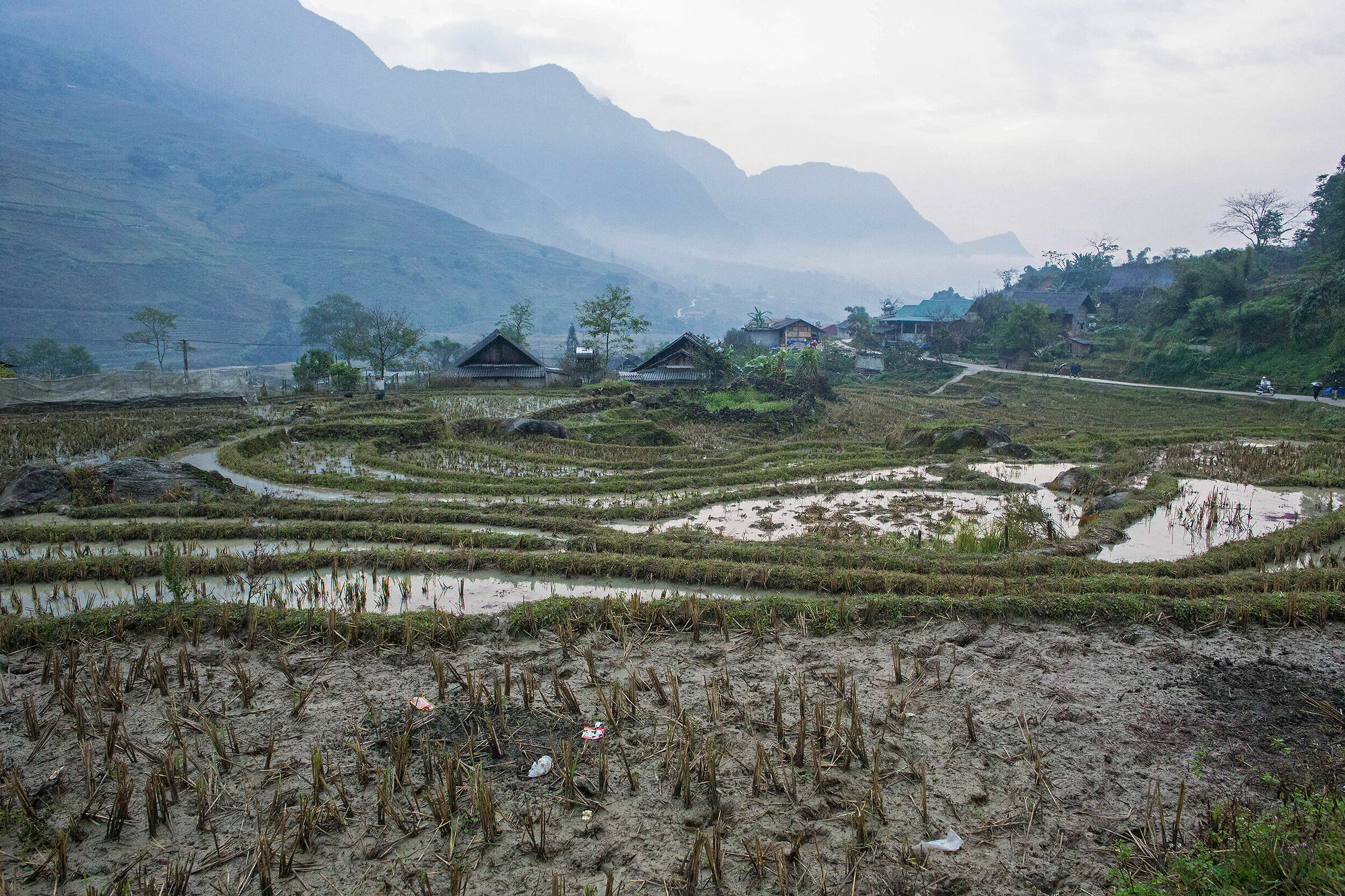 terrazzamenti di riso in Vietnam del Nord