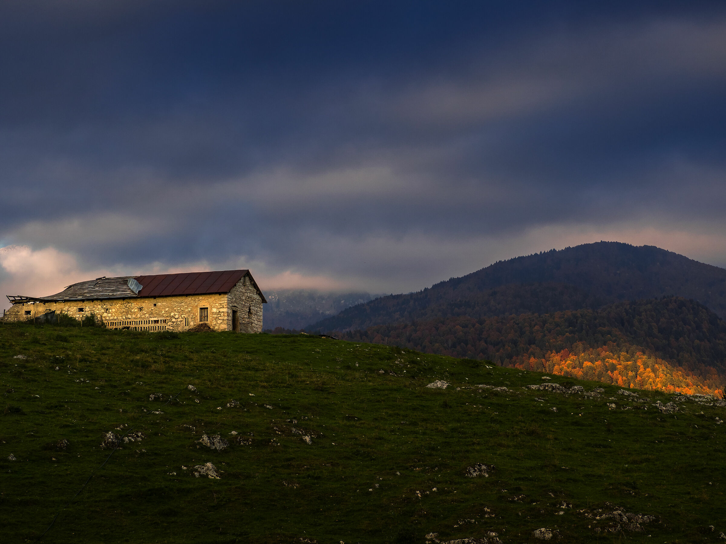 Cansiglio, moments like this...