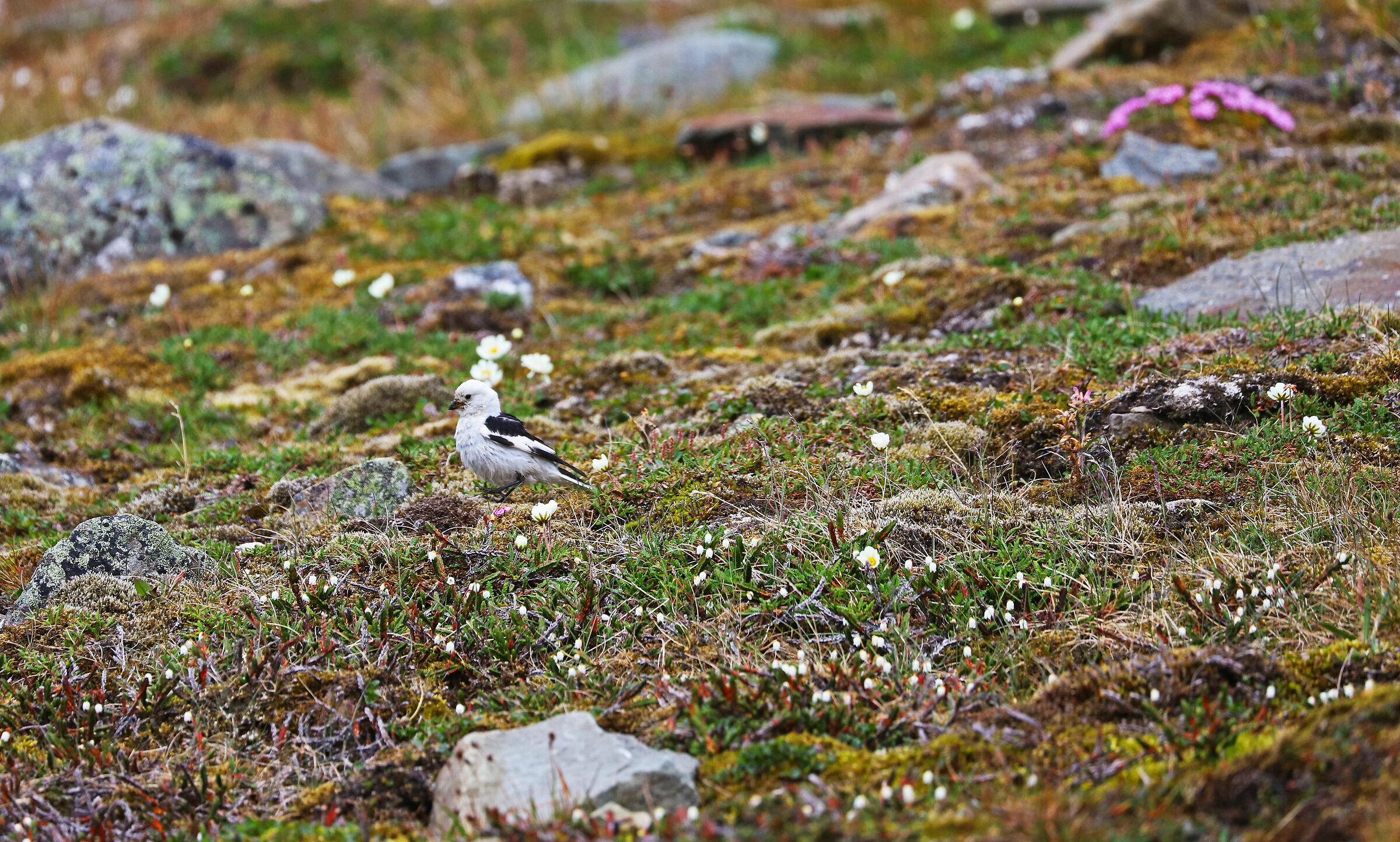 approfitto del caldo