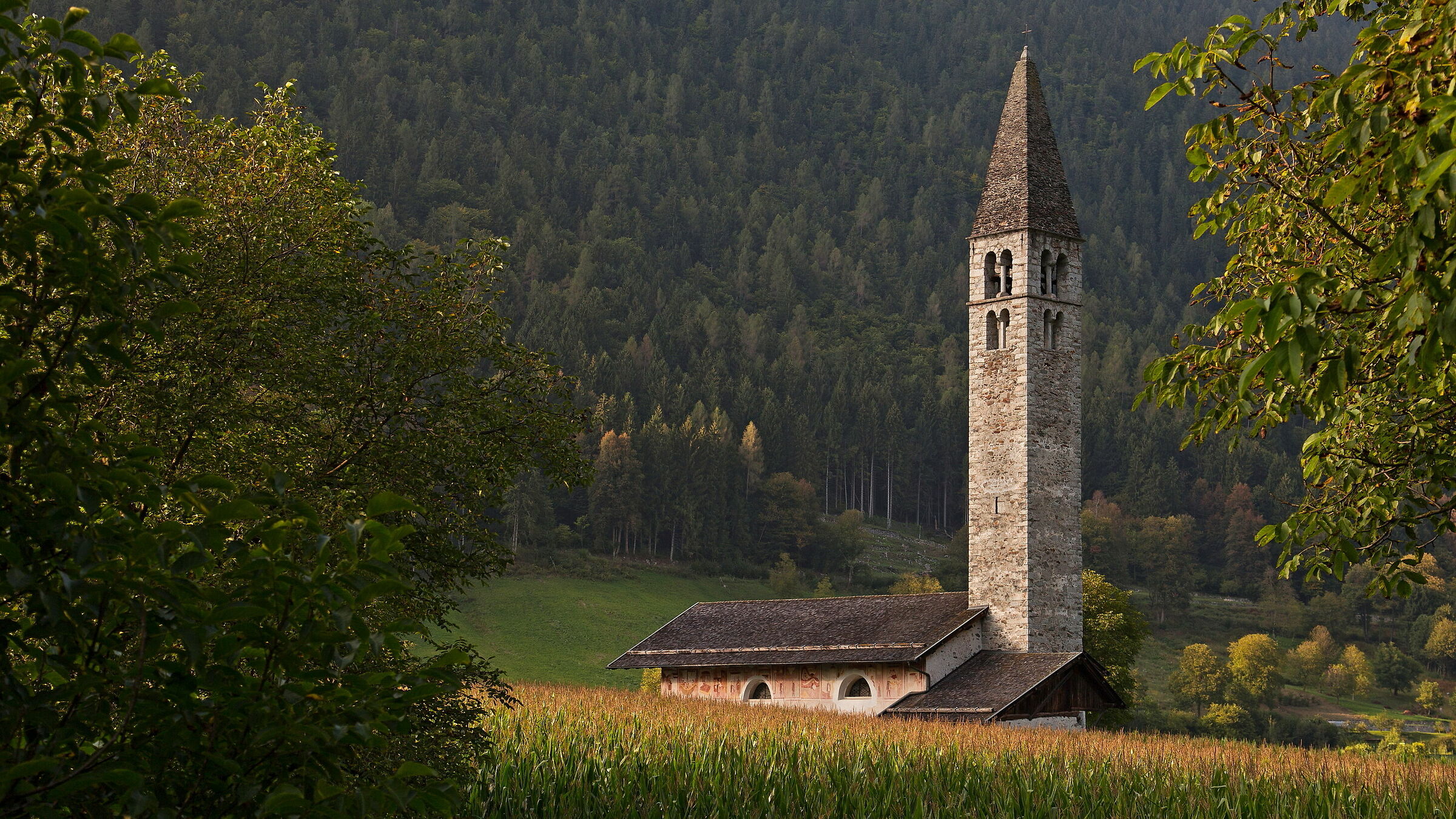 I Baschenis.....prima ancora del mais