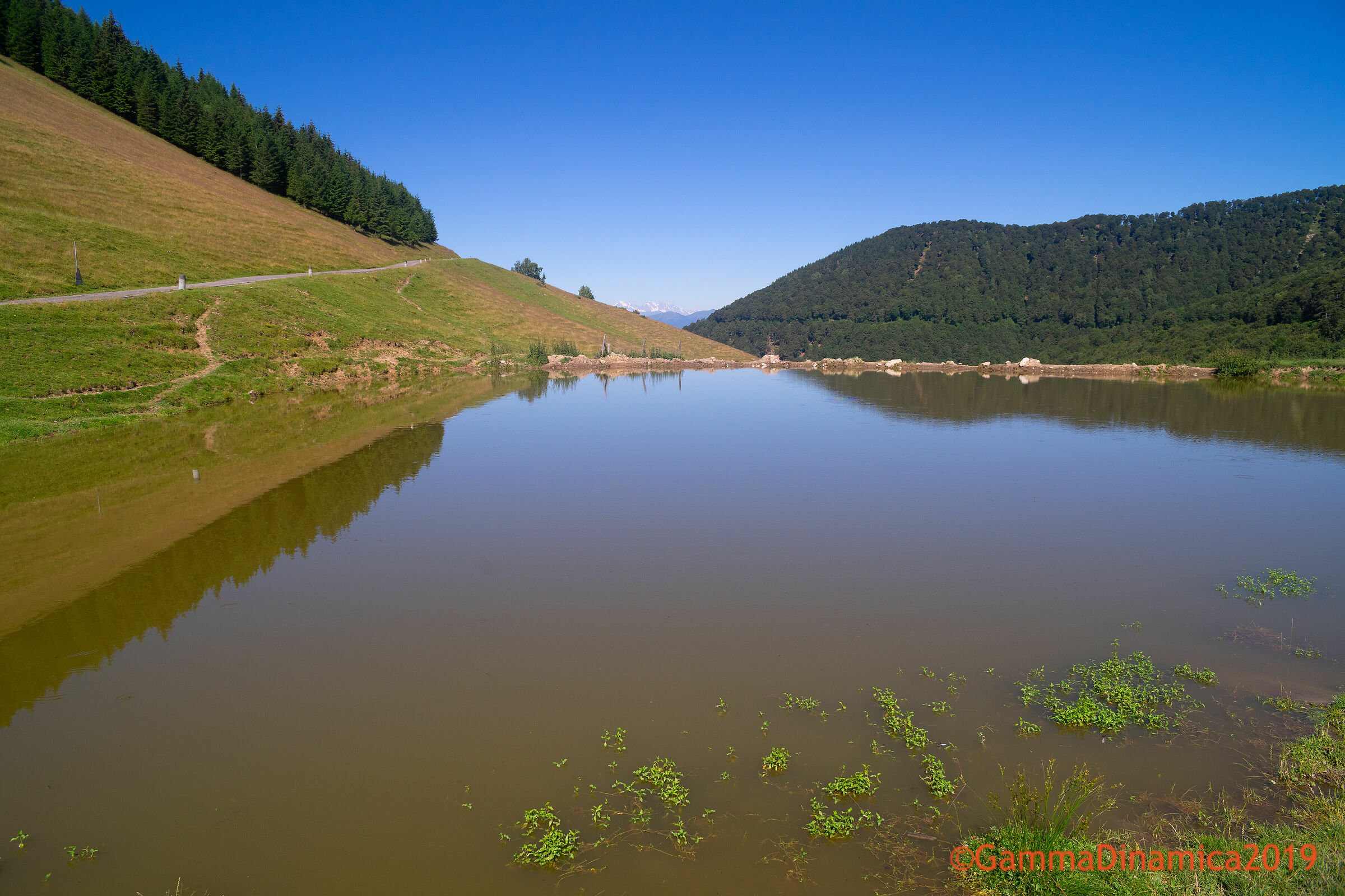 Pond at the Alpe di Lenno