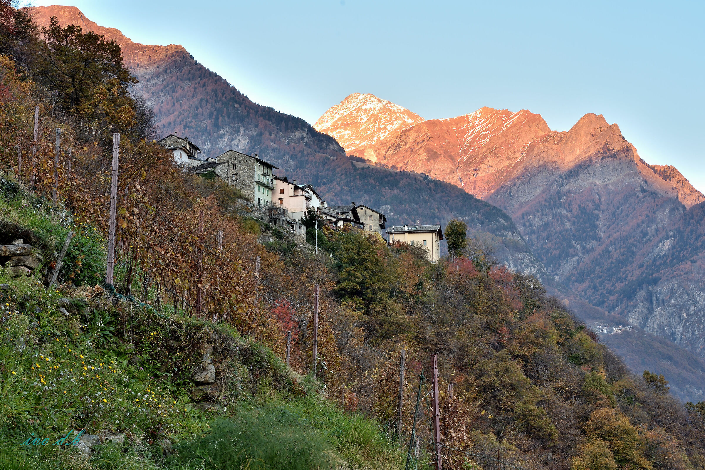 zona verde,gialla o rossa?????