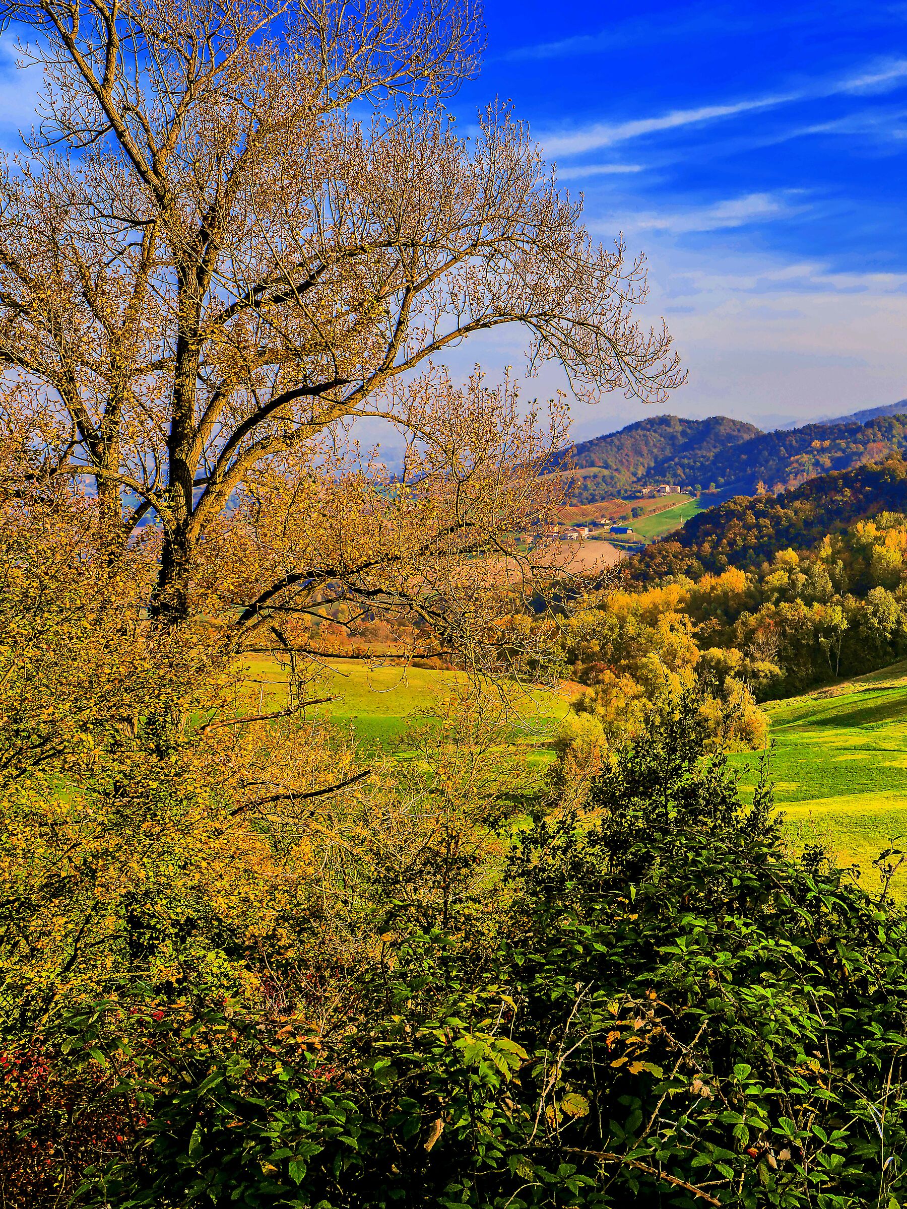 Colline reggiane