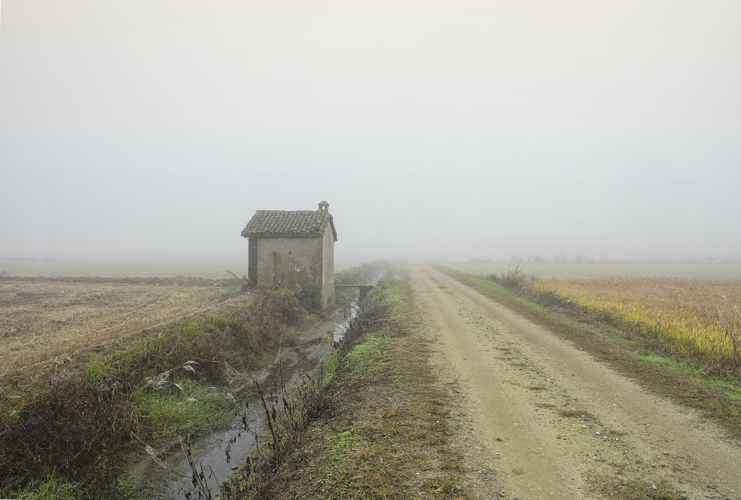 Nebbia in Lomellina 1