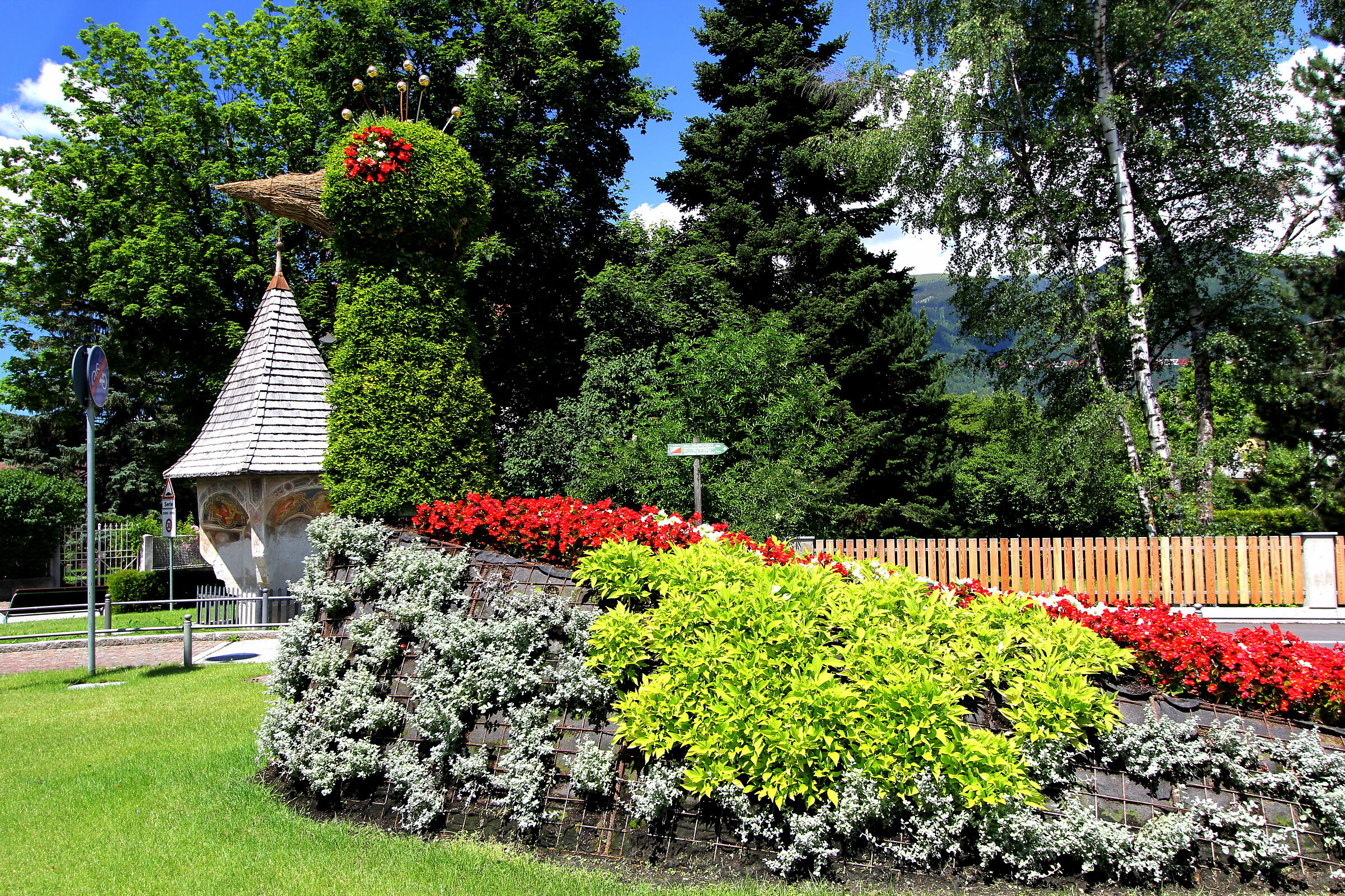 Il pavone di Brunico (bz)