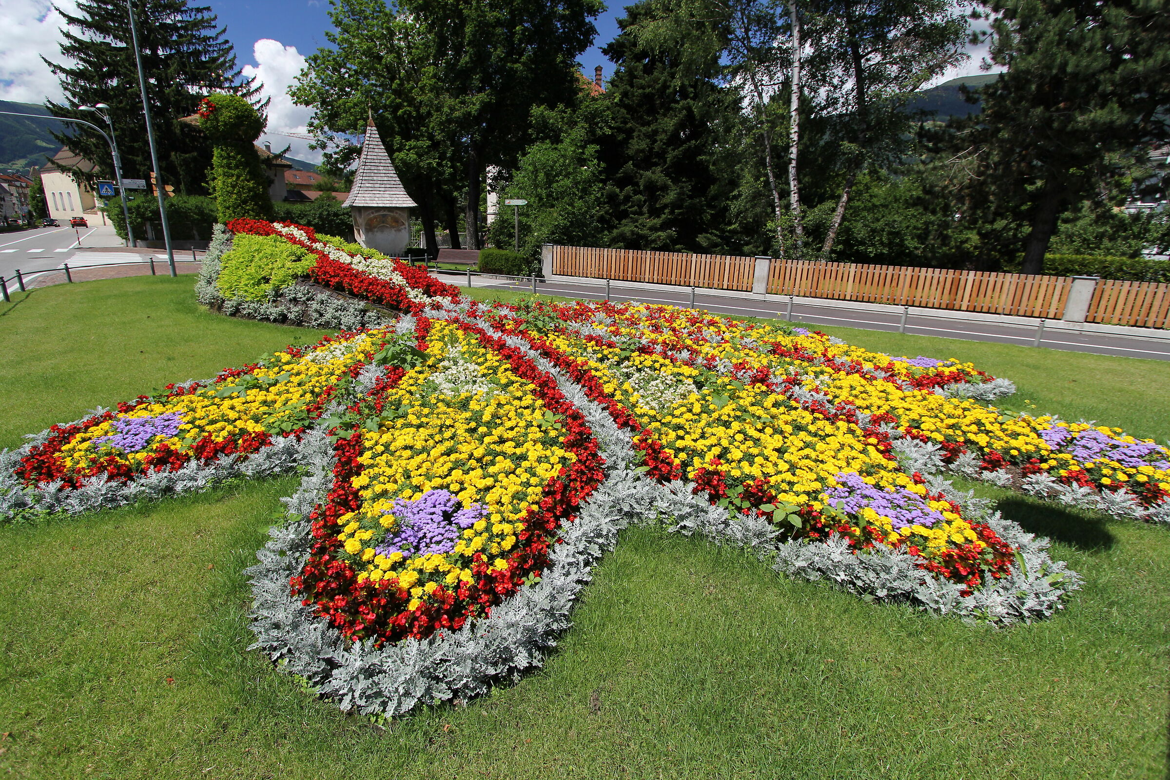 Il pavone di Brunico (bz)