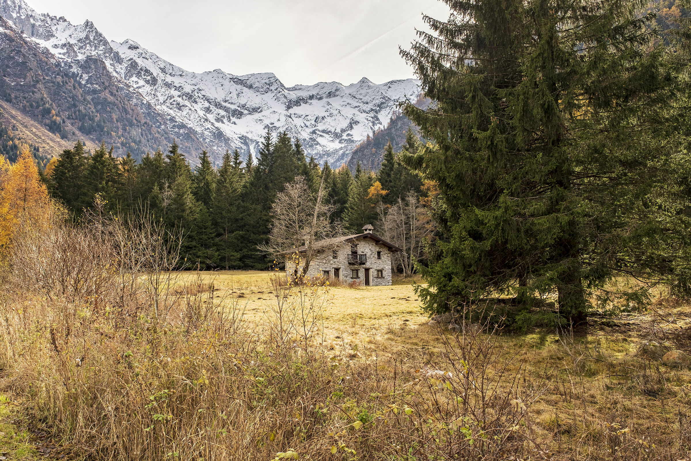 The House in the Prairie