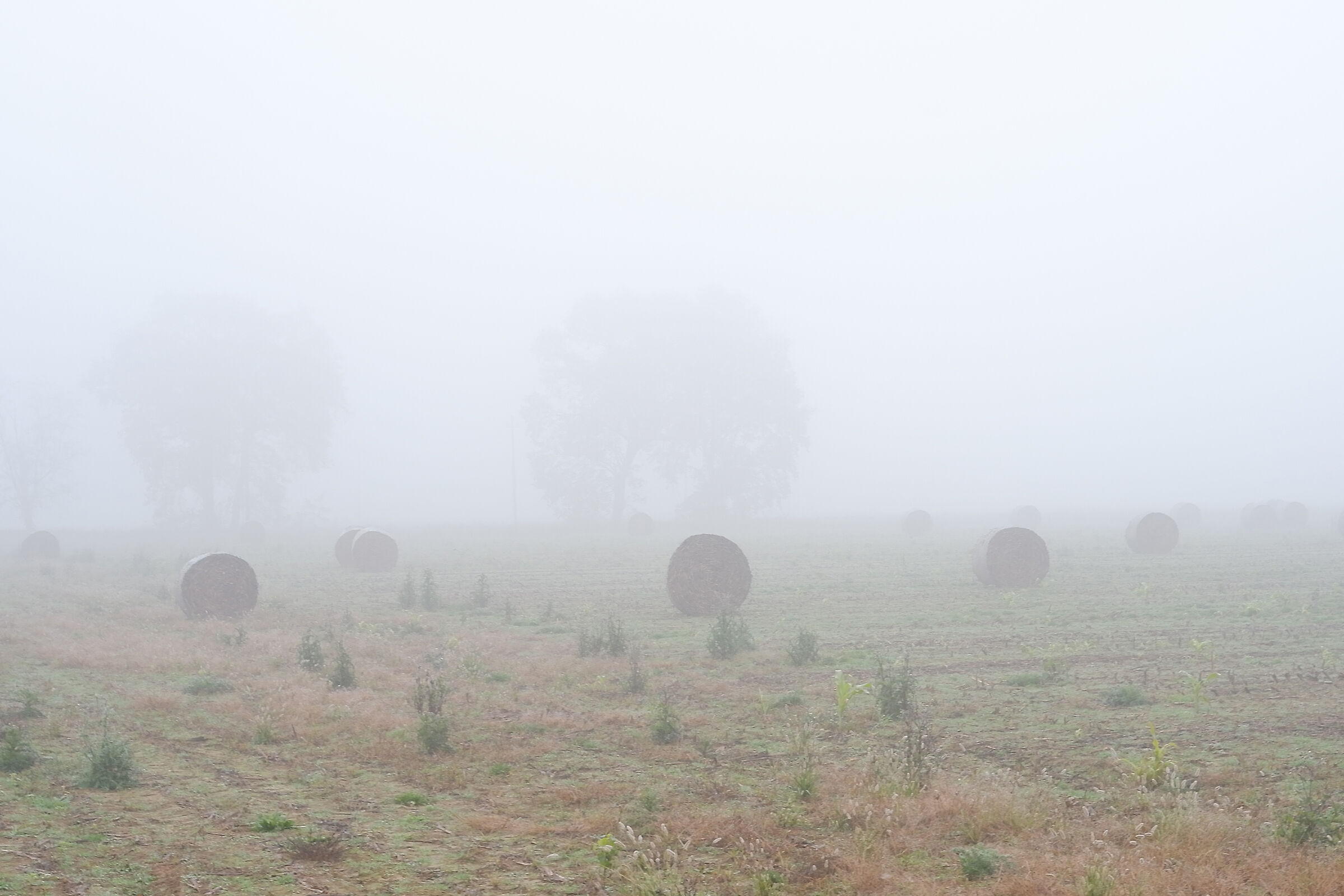 Emulating Ardia and her bales... in my own way!