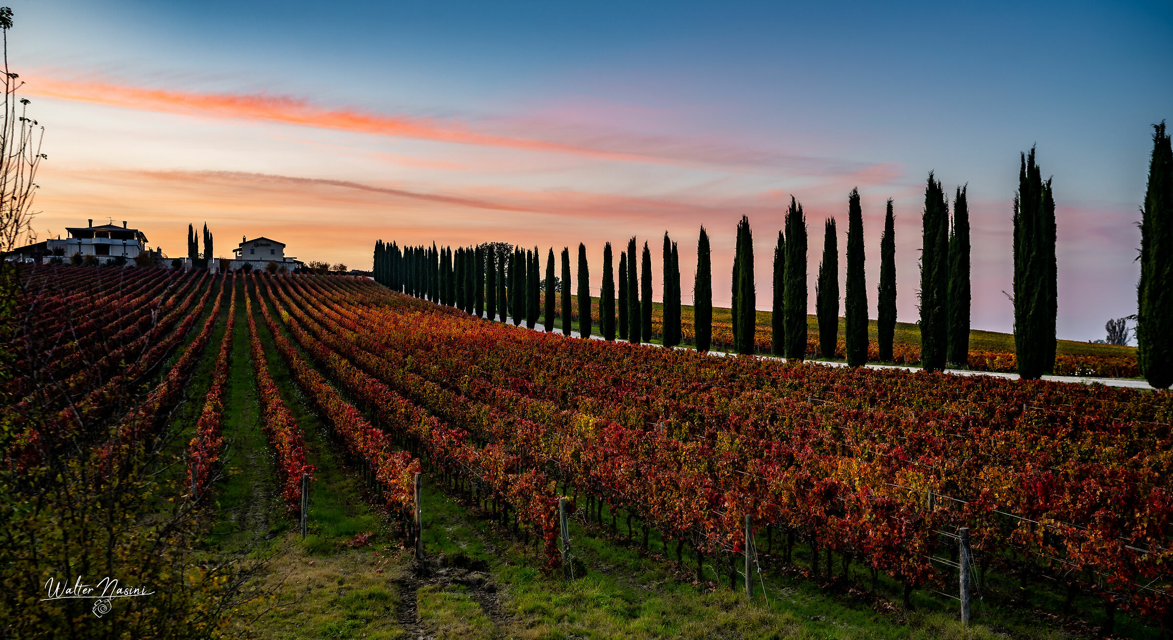 along the sagrantino road...