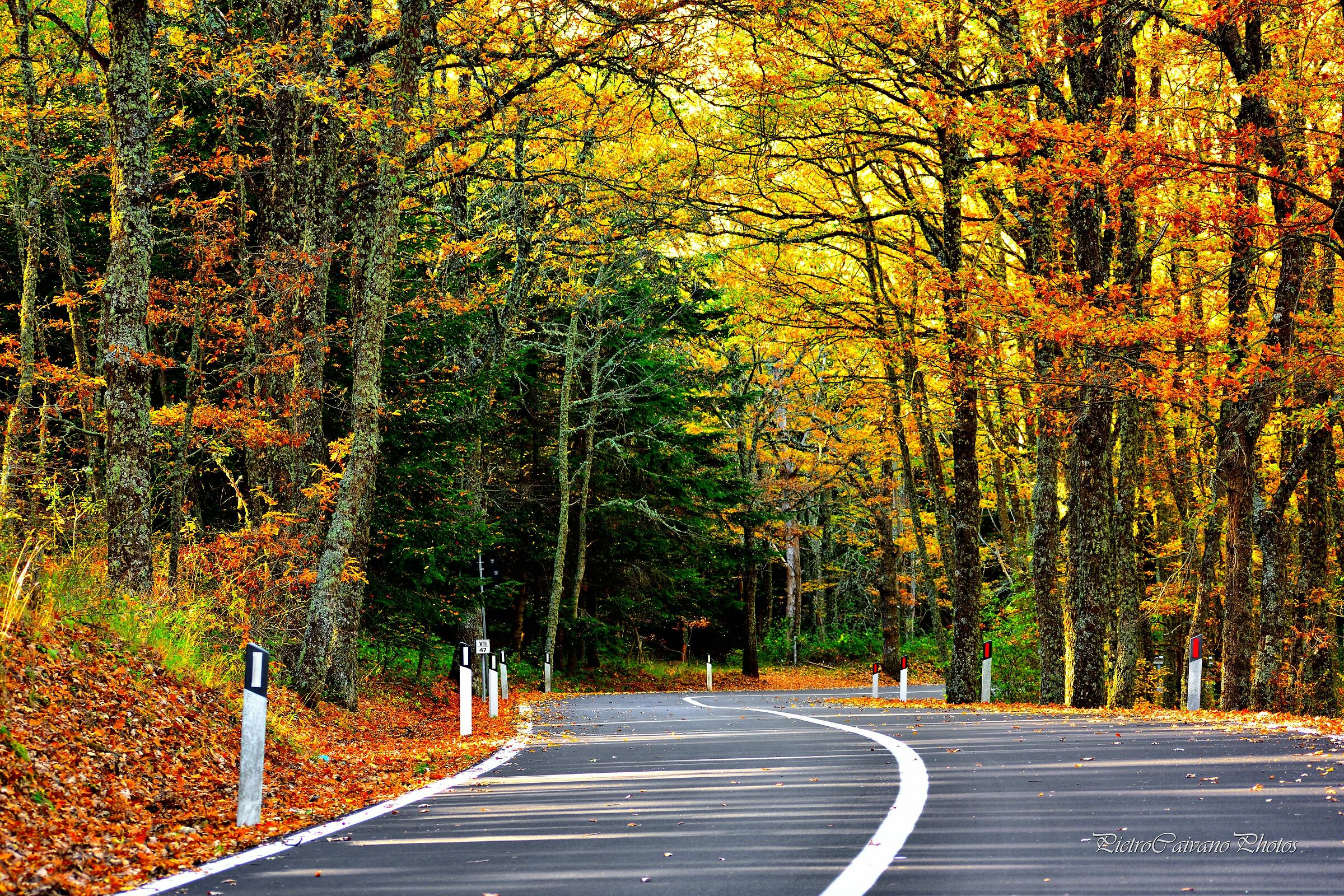 Mountains Roads reloaded