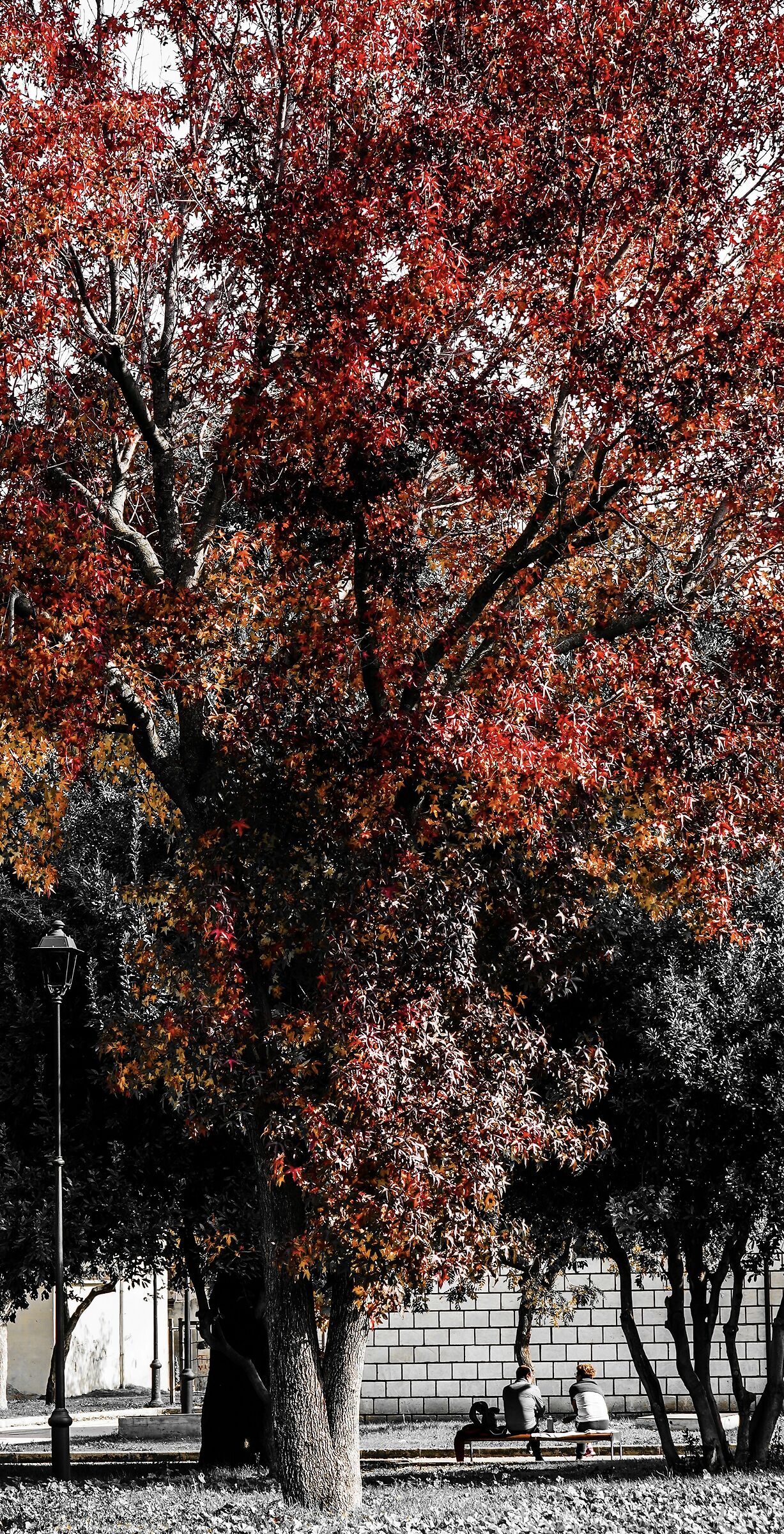 Autunno al parco