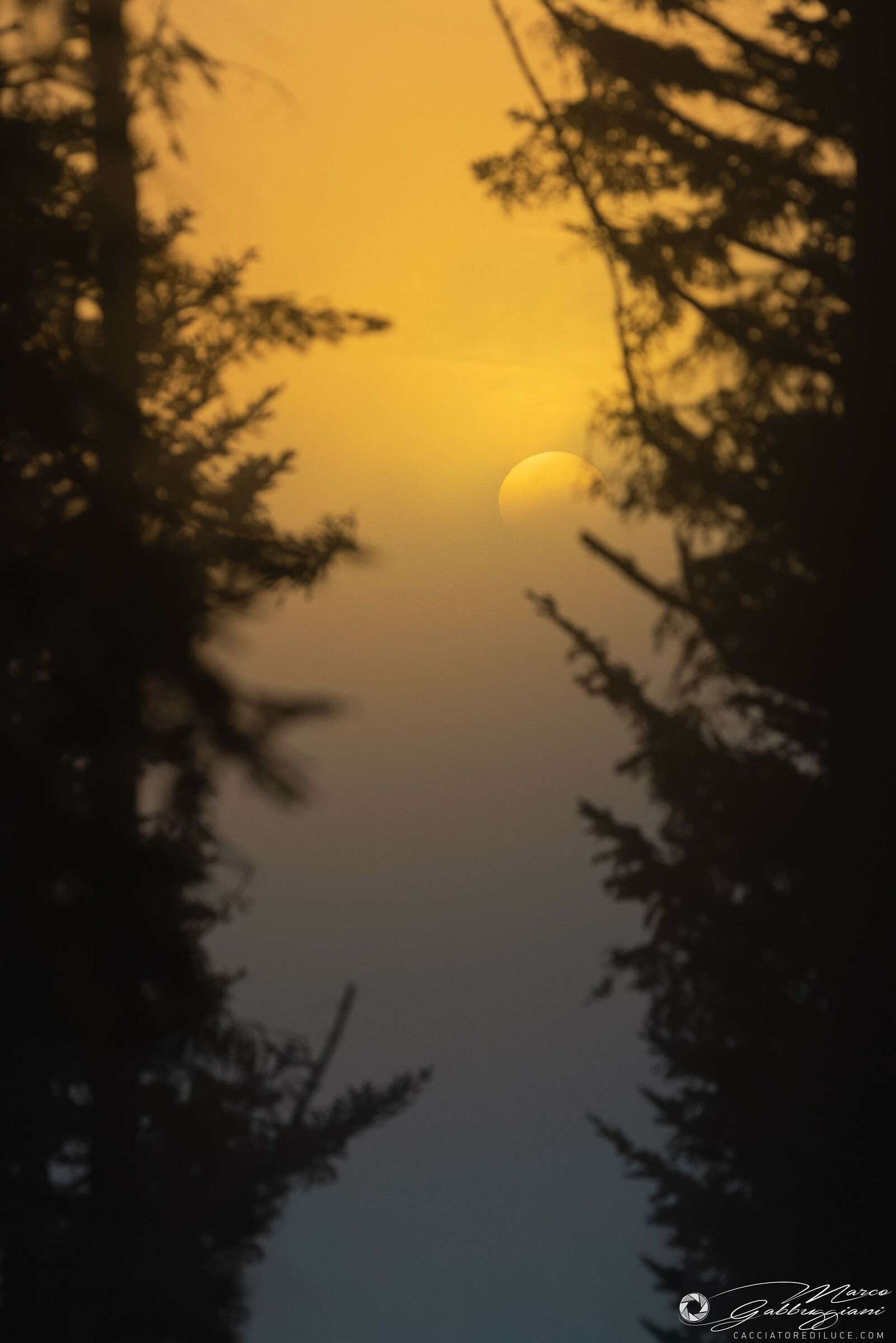 Sunset in the Fog