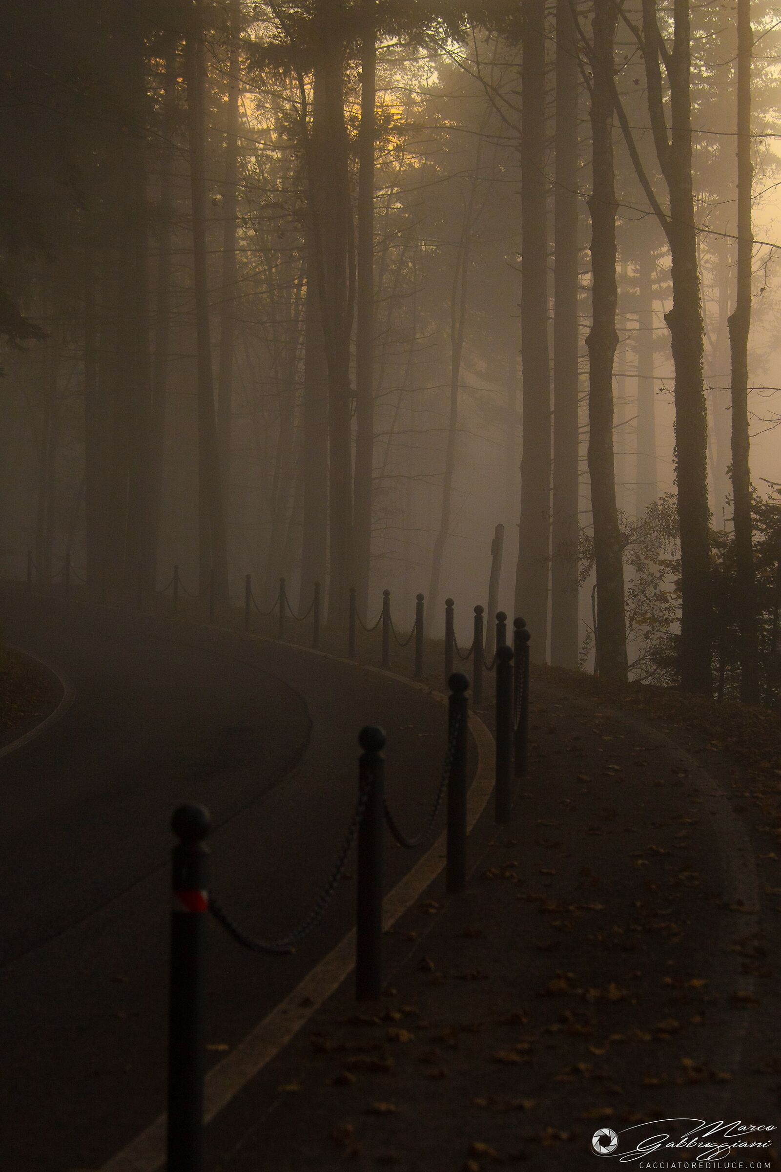 Mists at Sunset