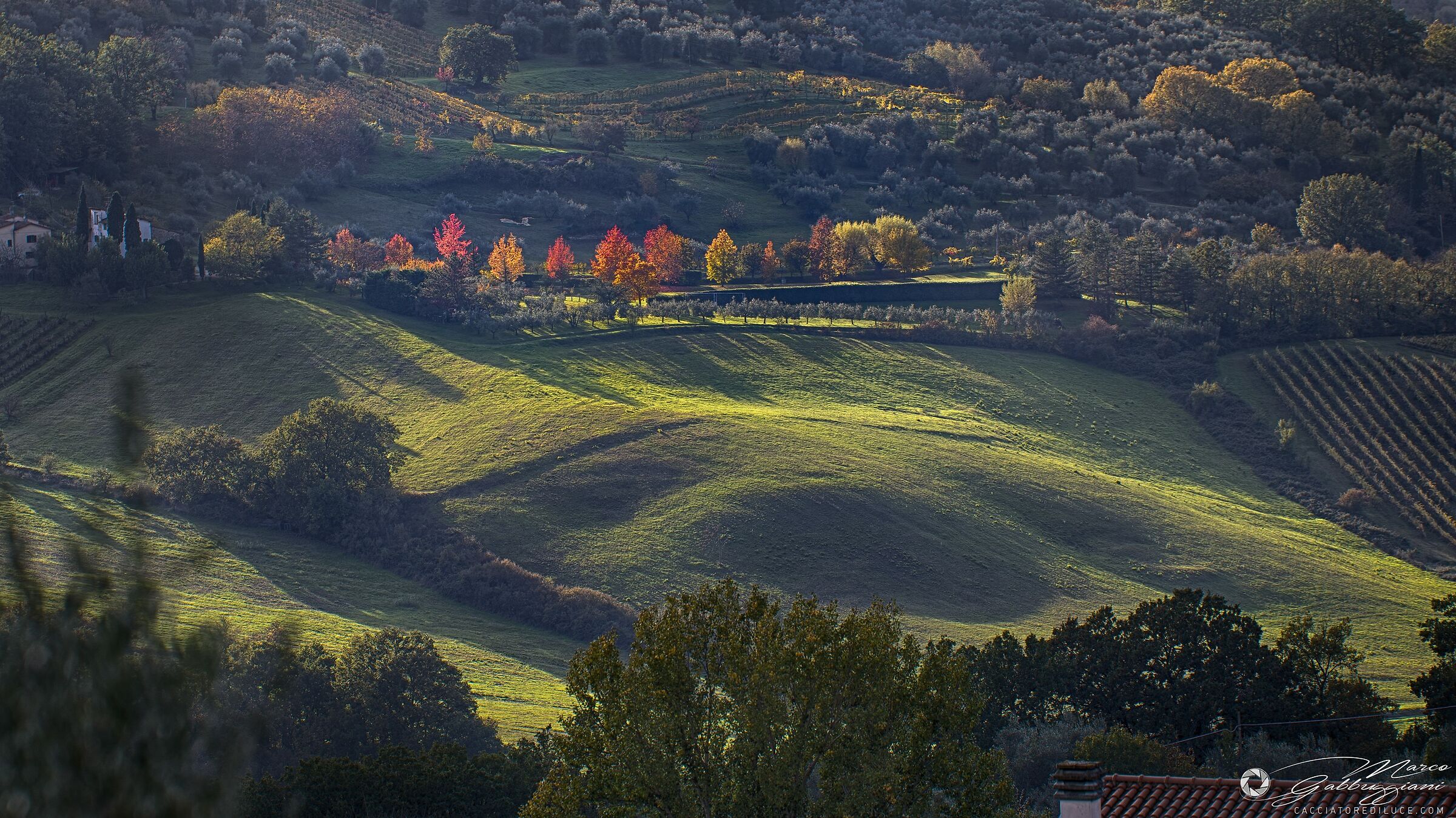Autumn colors