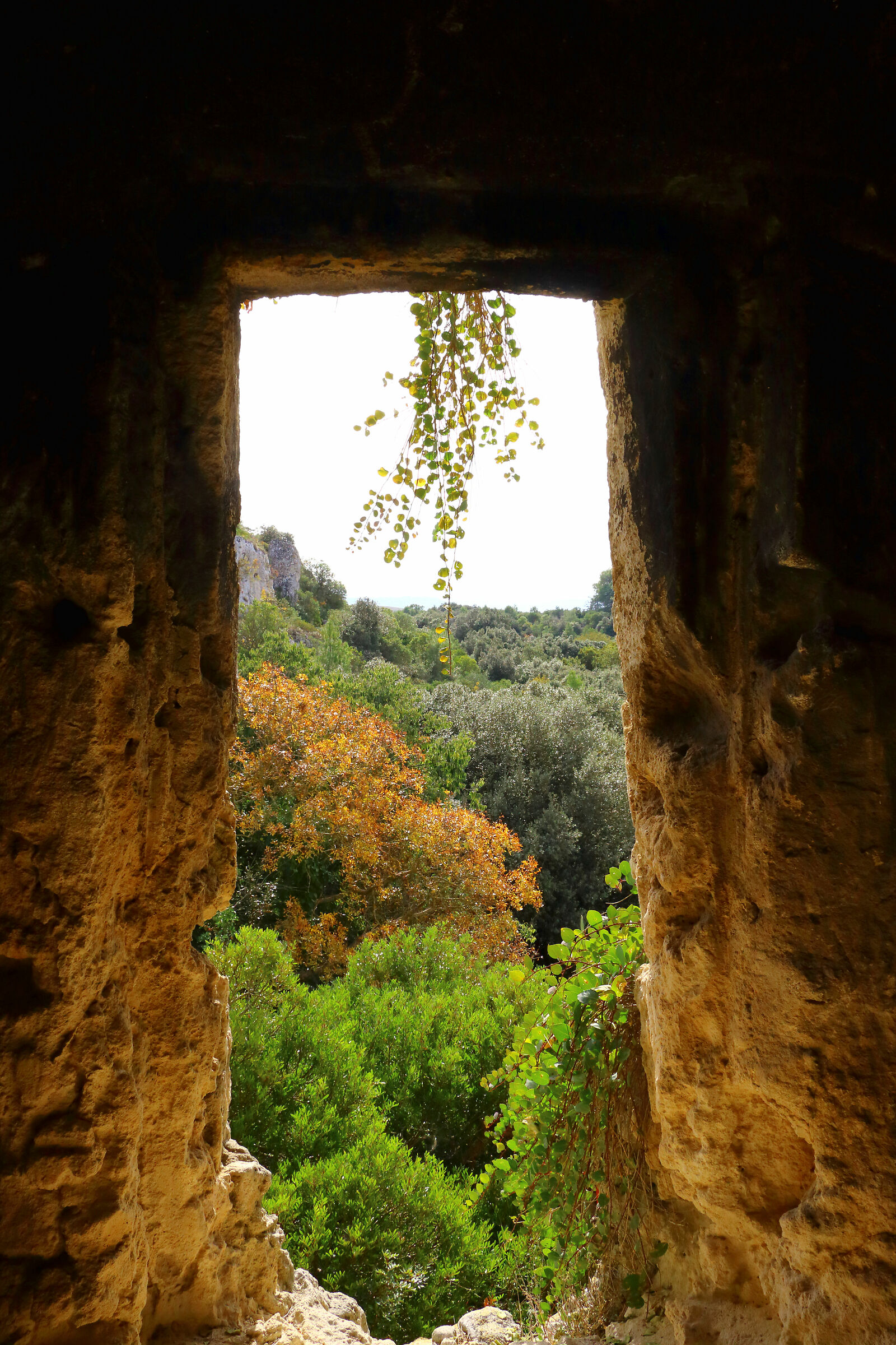 Where the eye reaches the sea