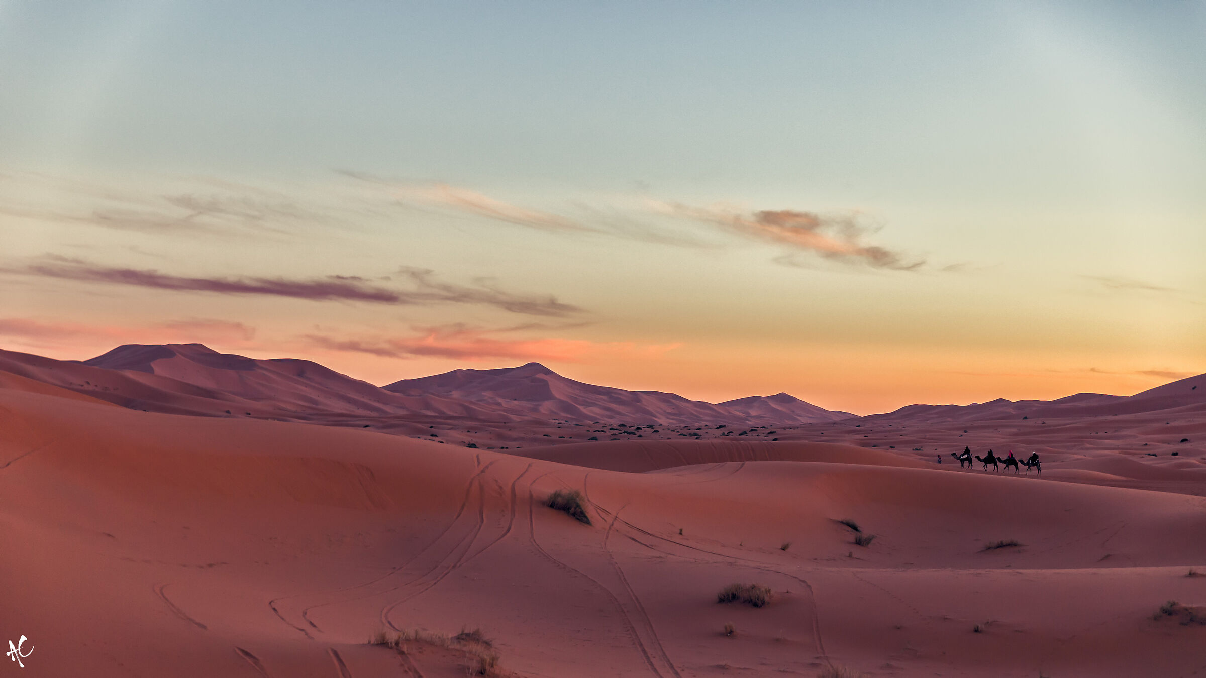 In the desert, at sunset