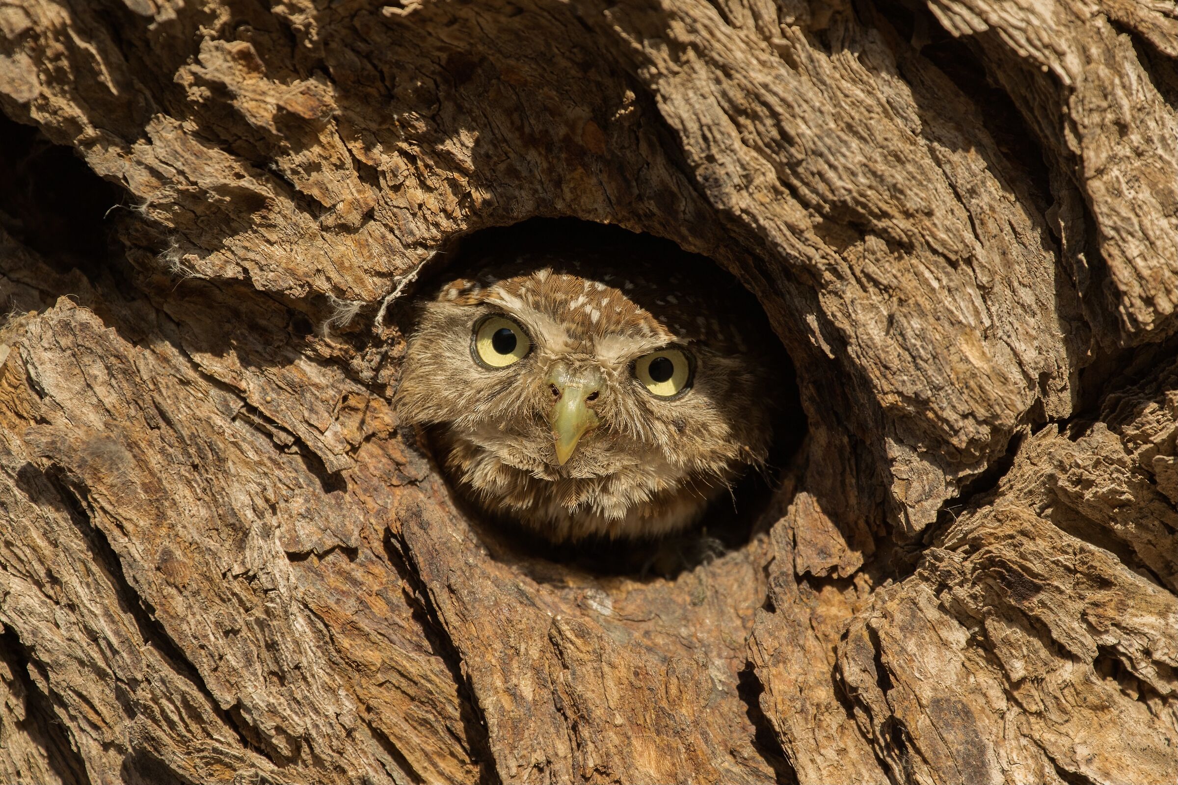 C'è nessuno in casa?