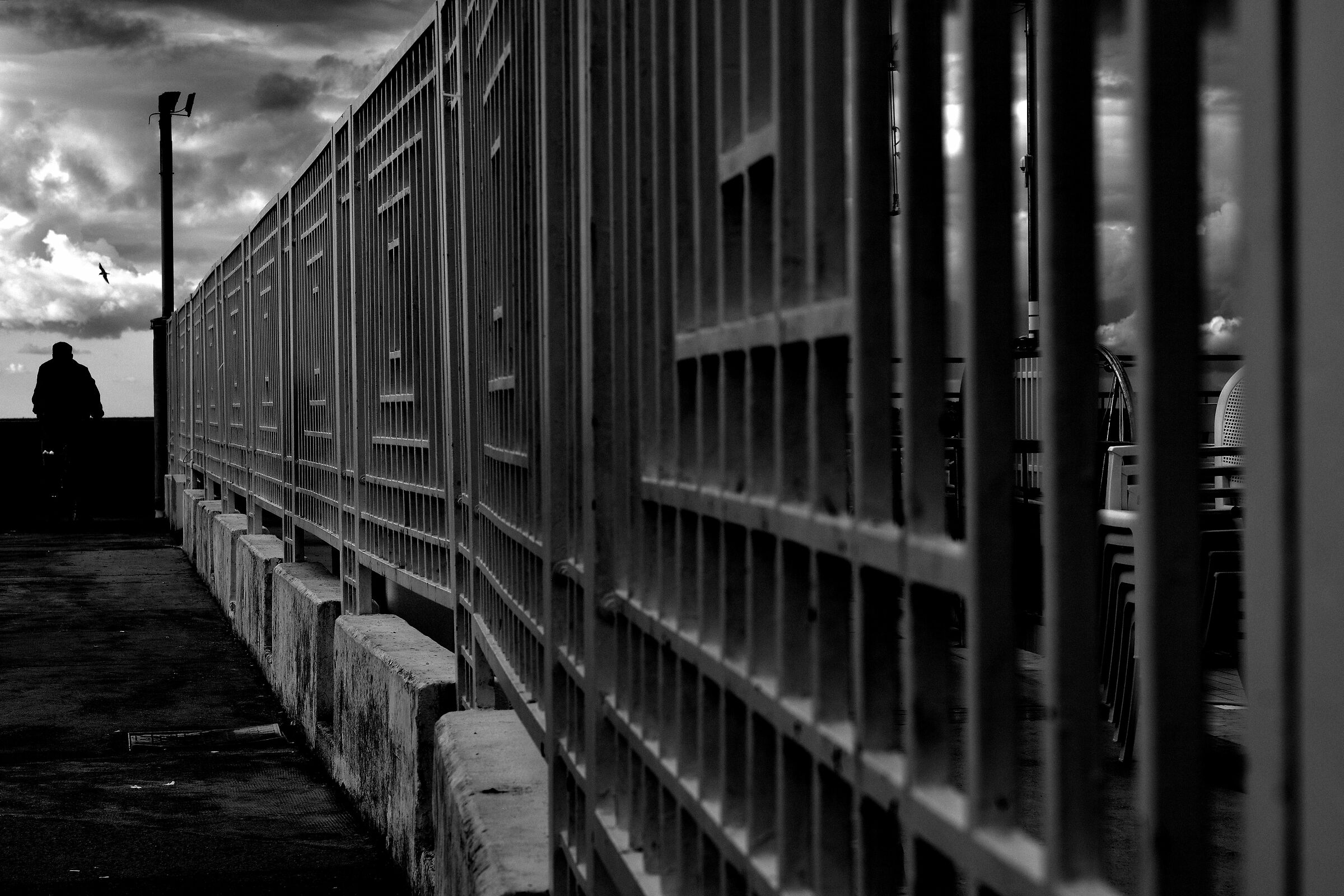 Waiting for Jonathan, the seagull.