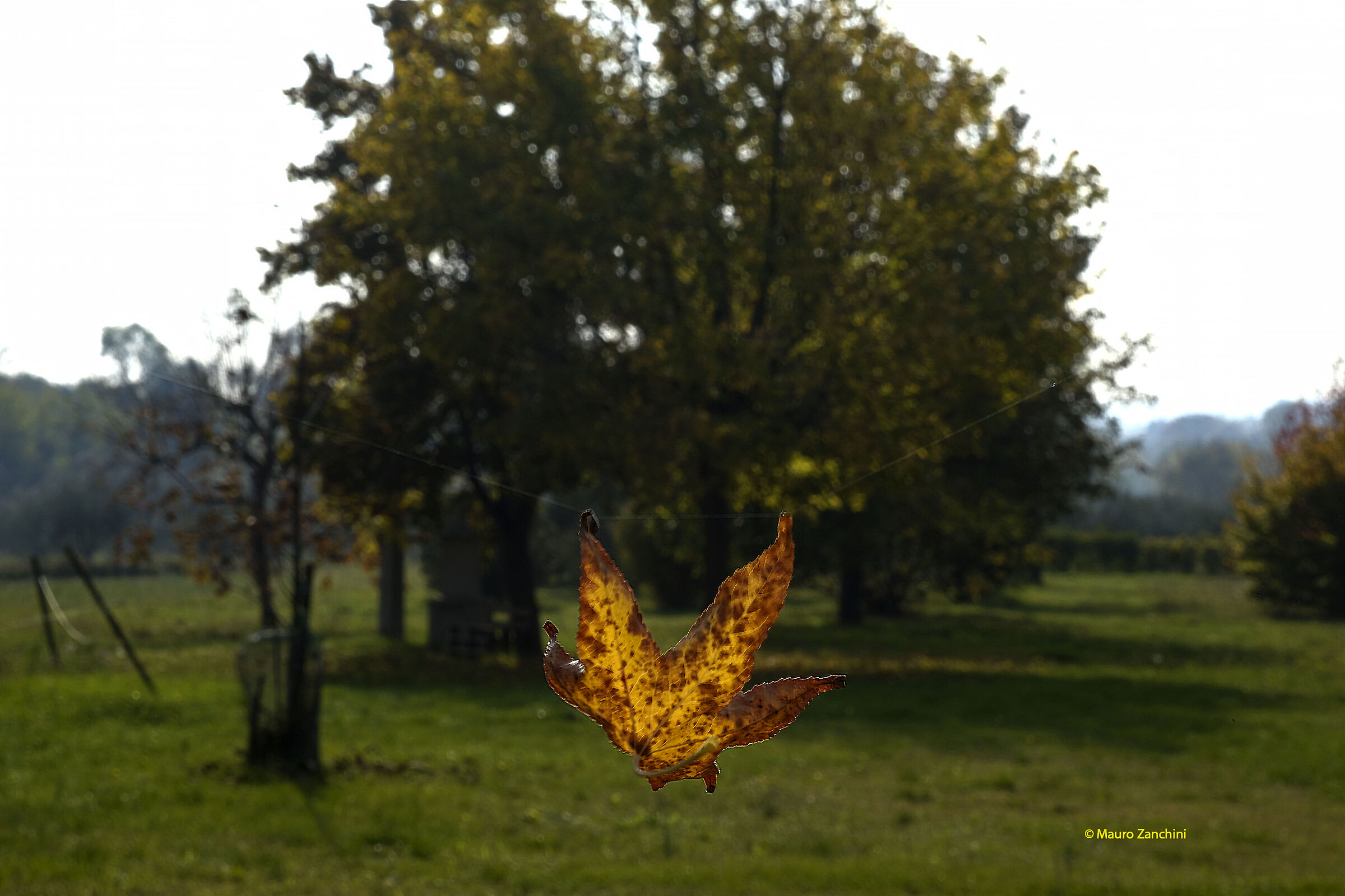 Tutto è appeso a un filo