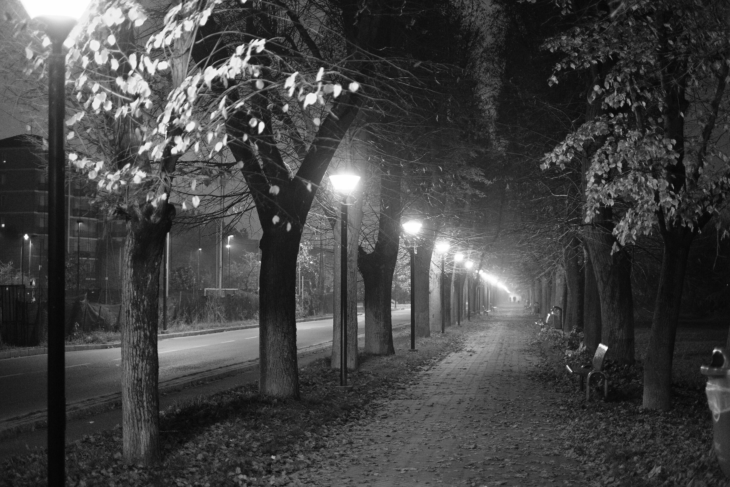 along the way to return bw